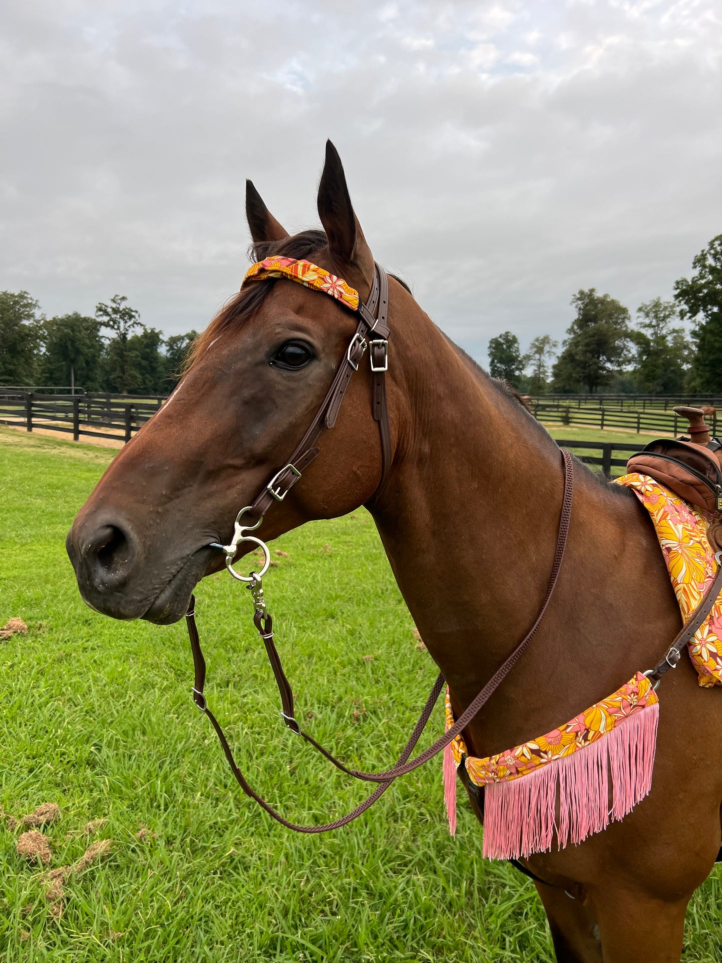 What The Floral Print Browband or Noseband Cover (ONE Cover Only)