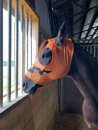 Jack O Lantern Pumpkin Costume Mask for Horses