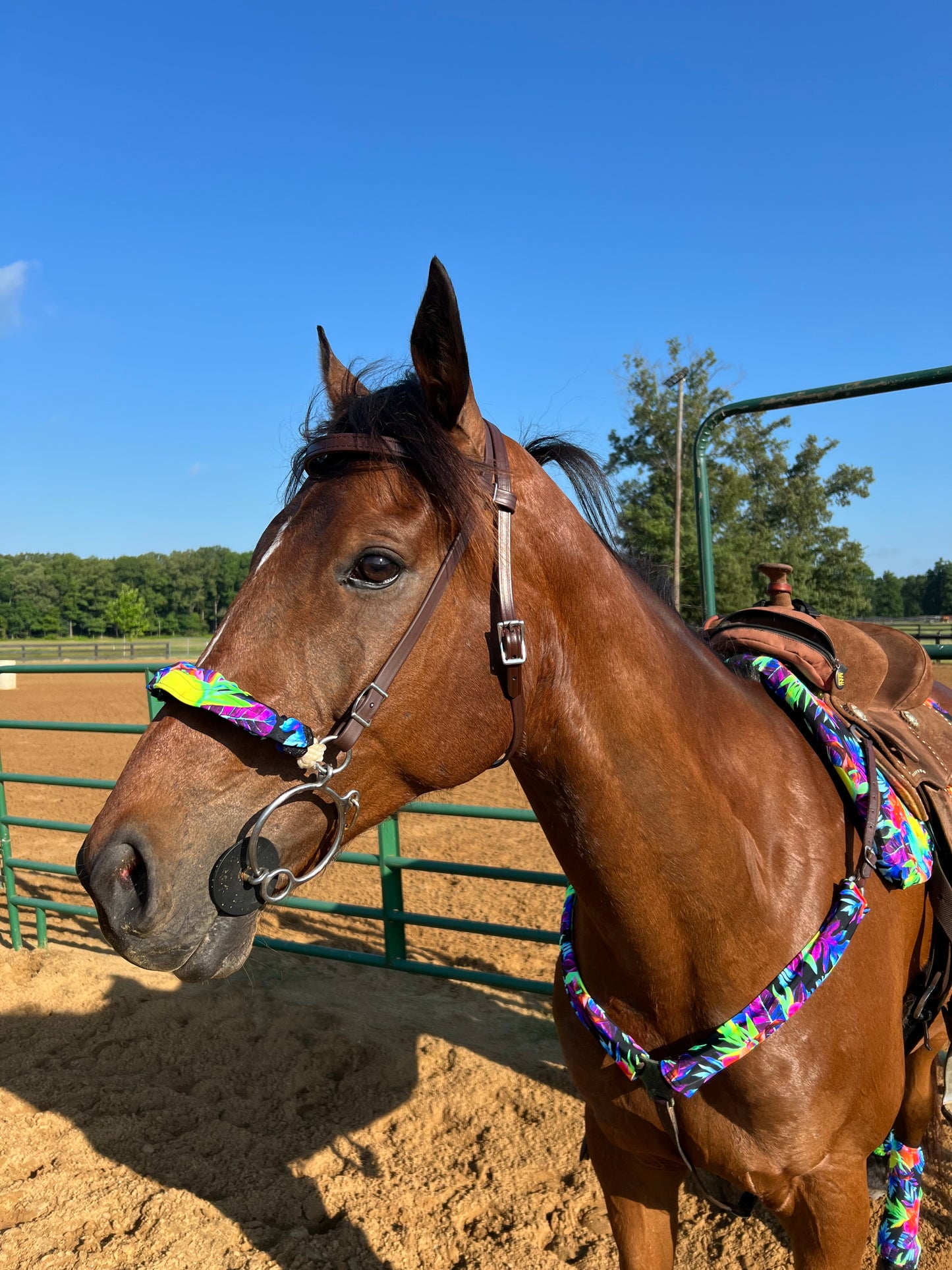 Sonic Bloom Print Browband or Noseband Cover (ONE Cover Only)