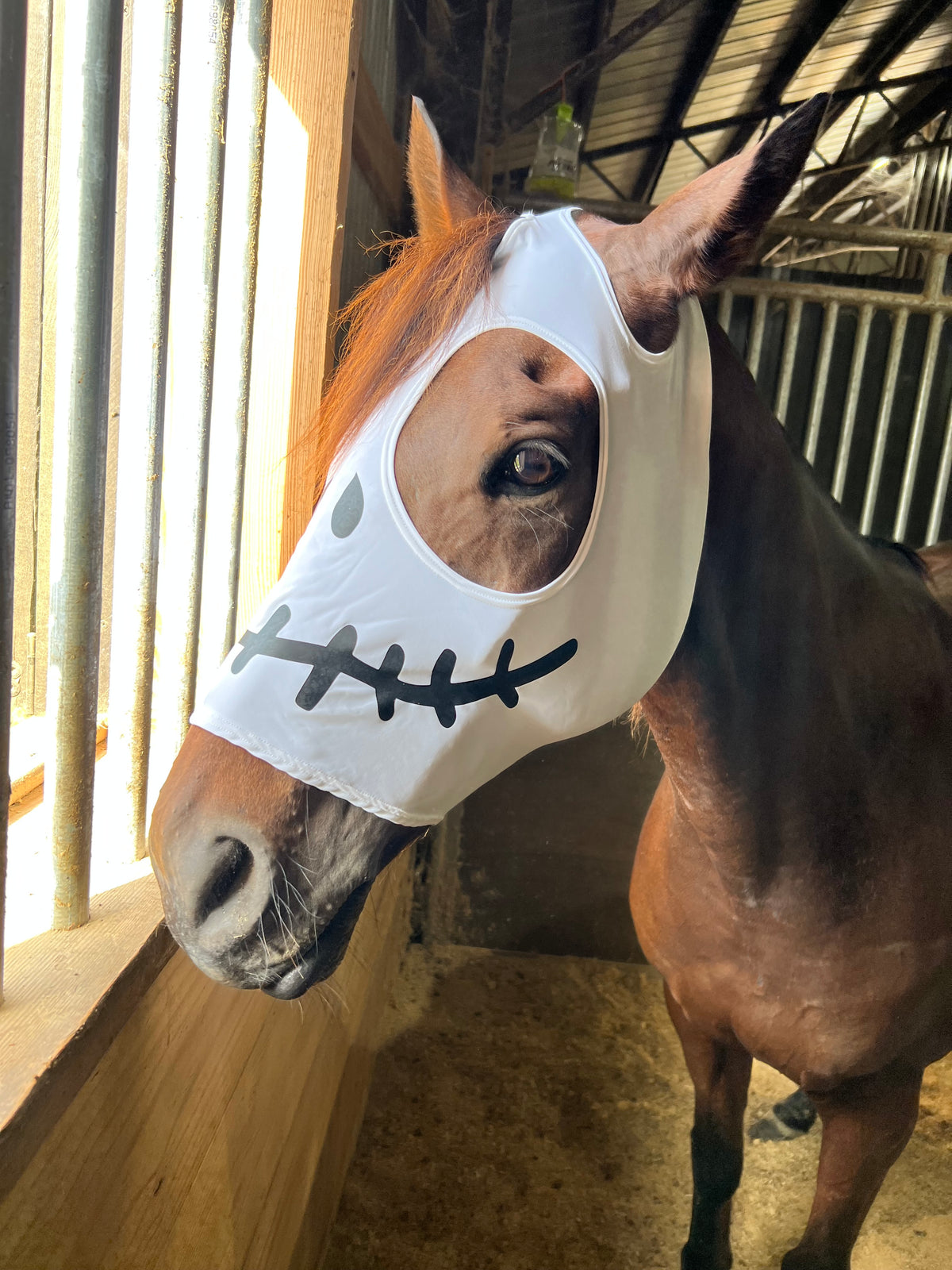 Skeleton Costume Mask for Horses