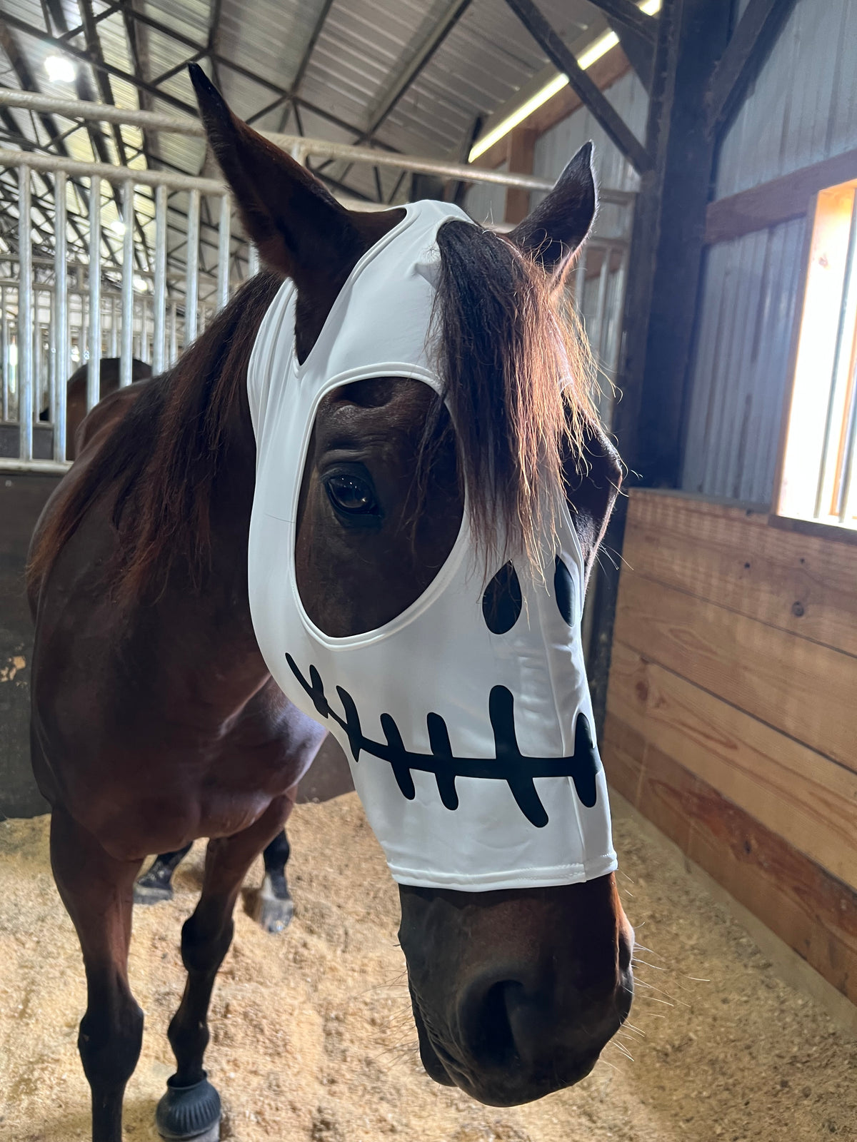 Skeleton Costume Mask for Horses
