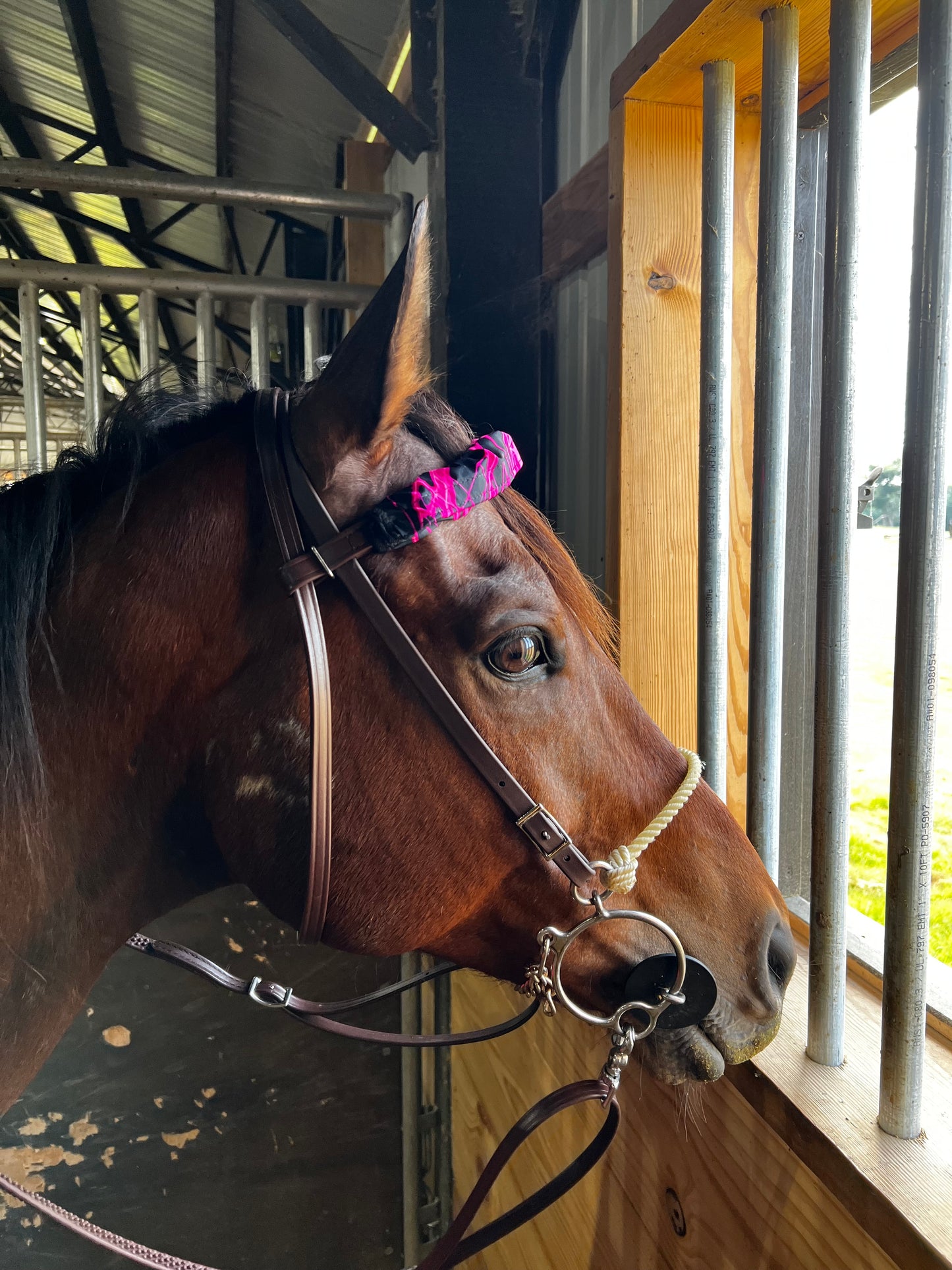 Neon Pink Lightning Print Browband or Noseband Cover (ONE Cover Only)