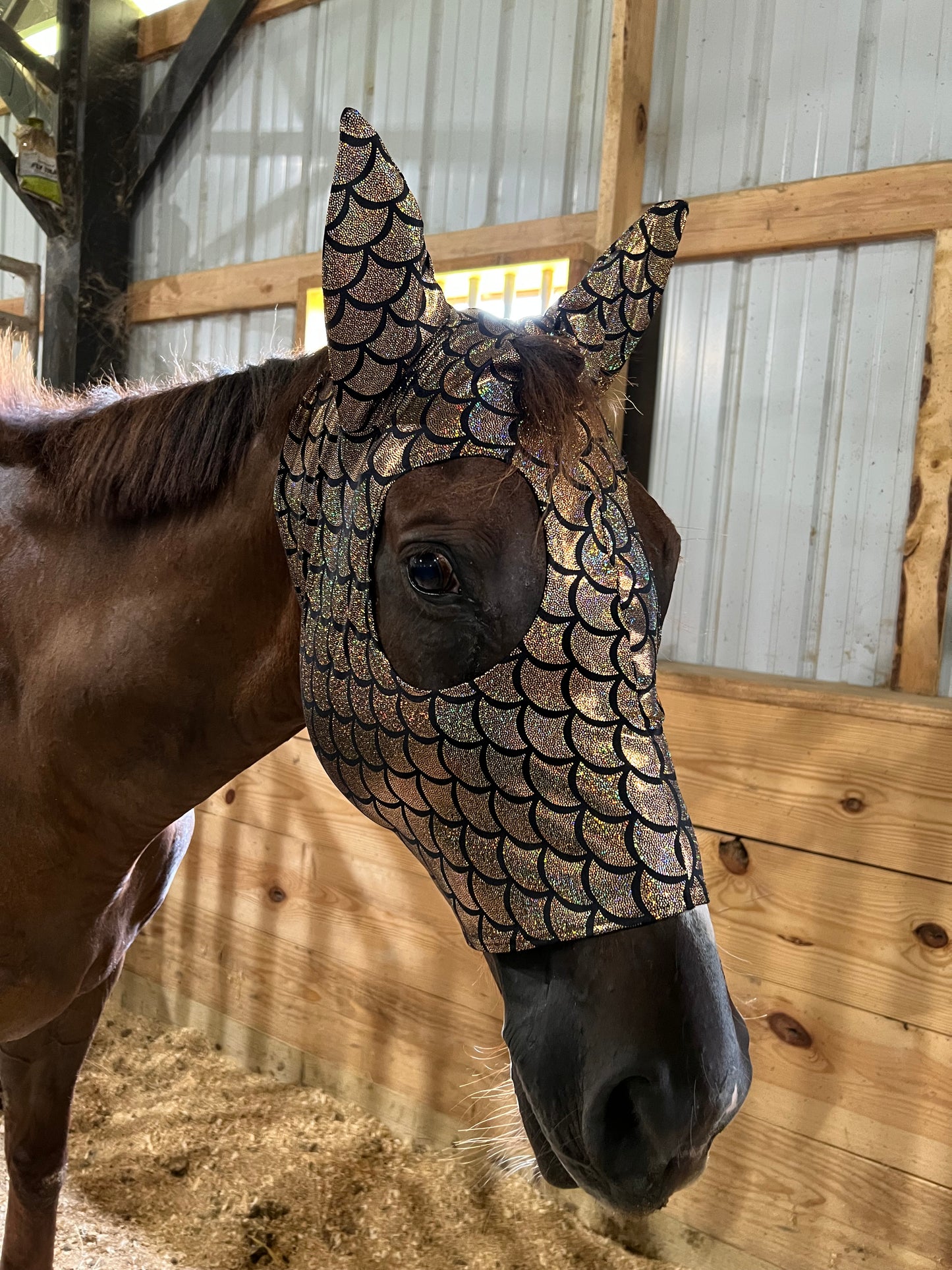 Gold Dragon Scale Spandex Face Mask for Horses