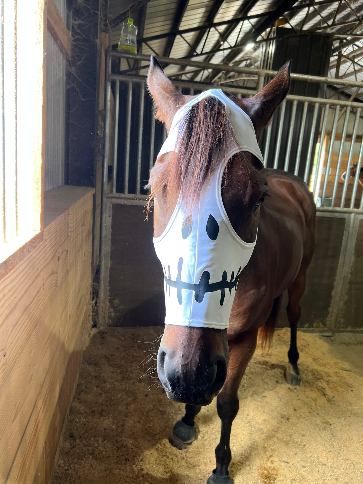 Skeleton Costume Mask for Horses