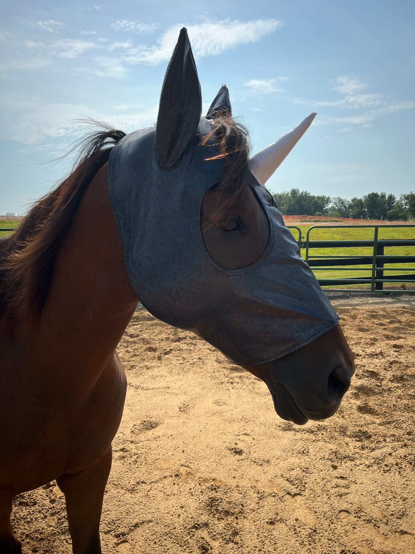 Black Kaleidoscope Unicorn Costume Mask for Horses