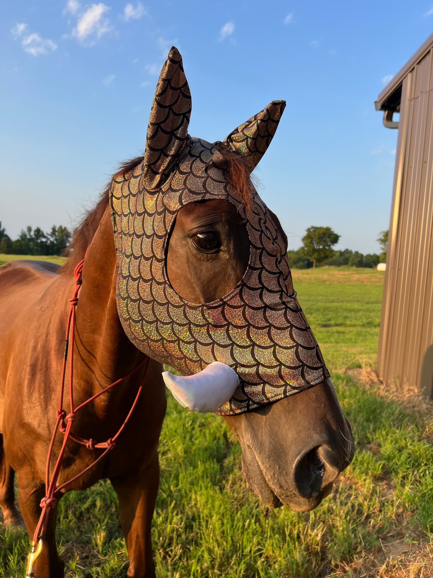 Gold Dragon Scale WartHog Costume Mask for Horses
