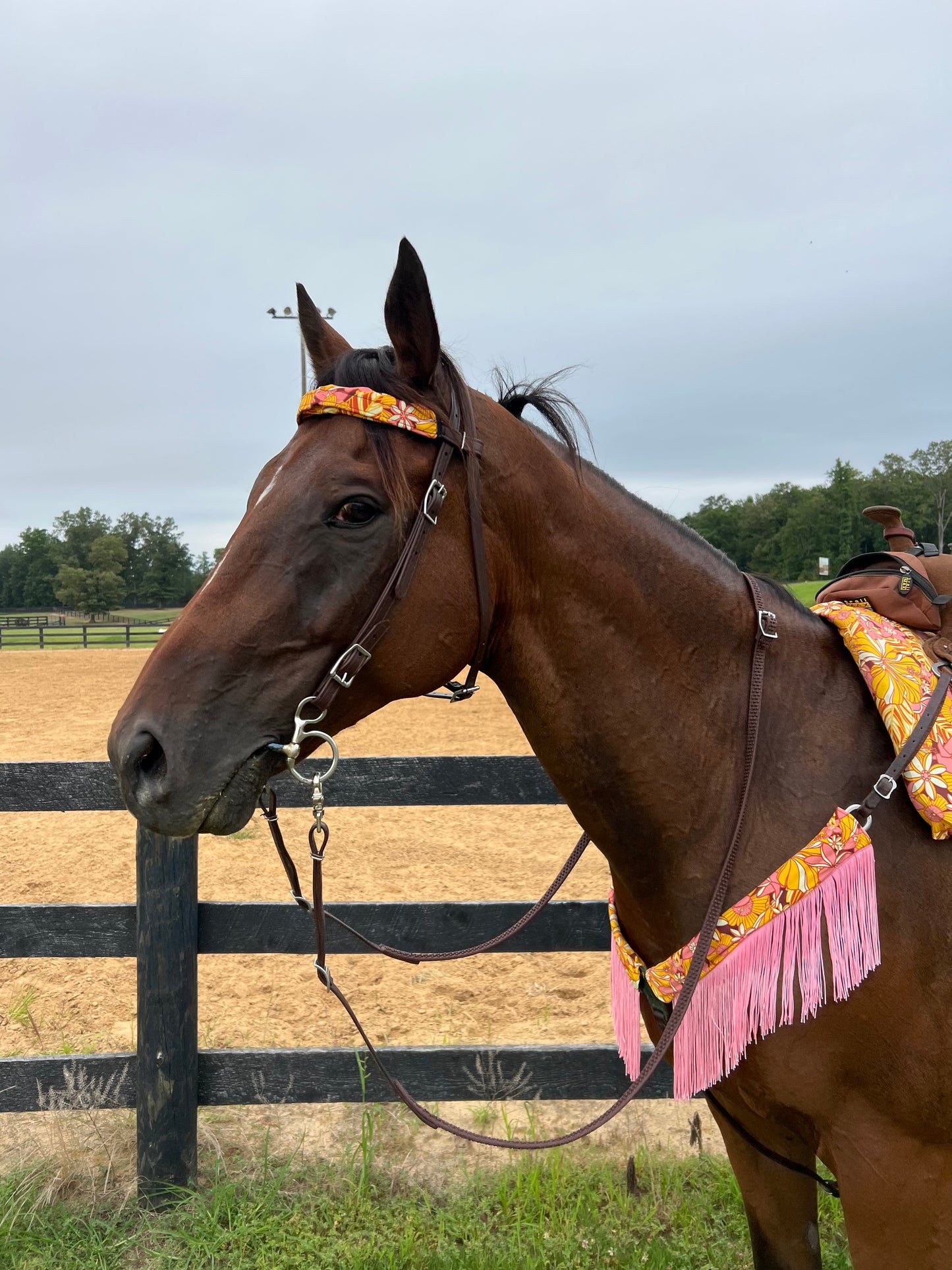 What The Floral Print Browband or Noseband Cover (ONE Cover Only)