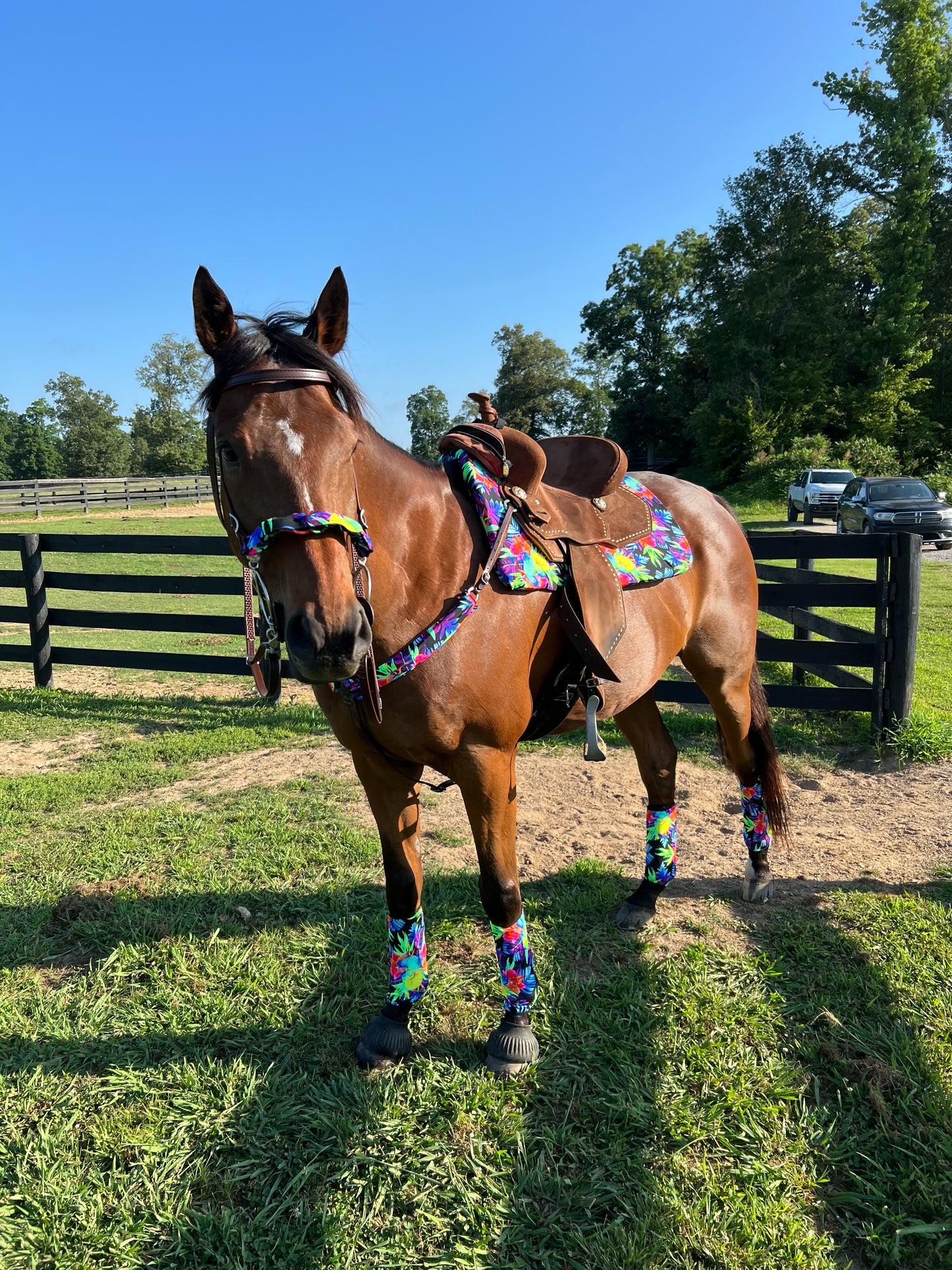 Western Saddle Pad COVER in Sonic Bloom (Saddle Pad Cover Only)