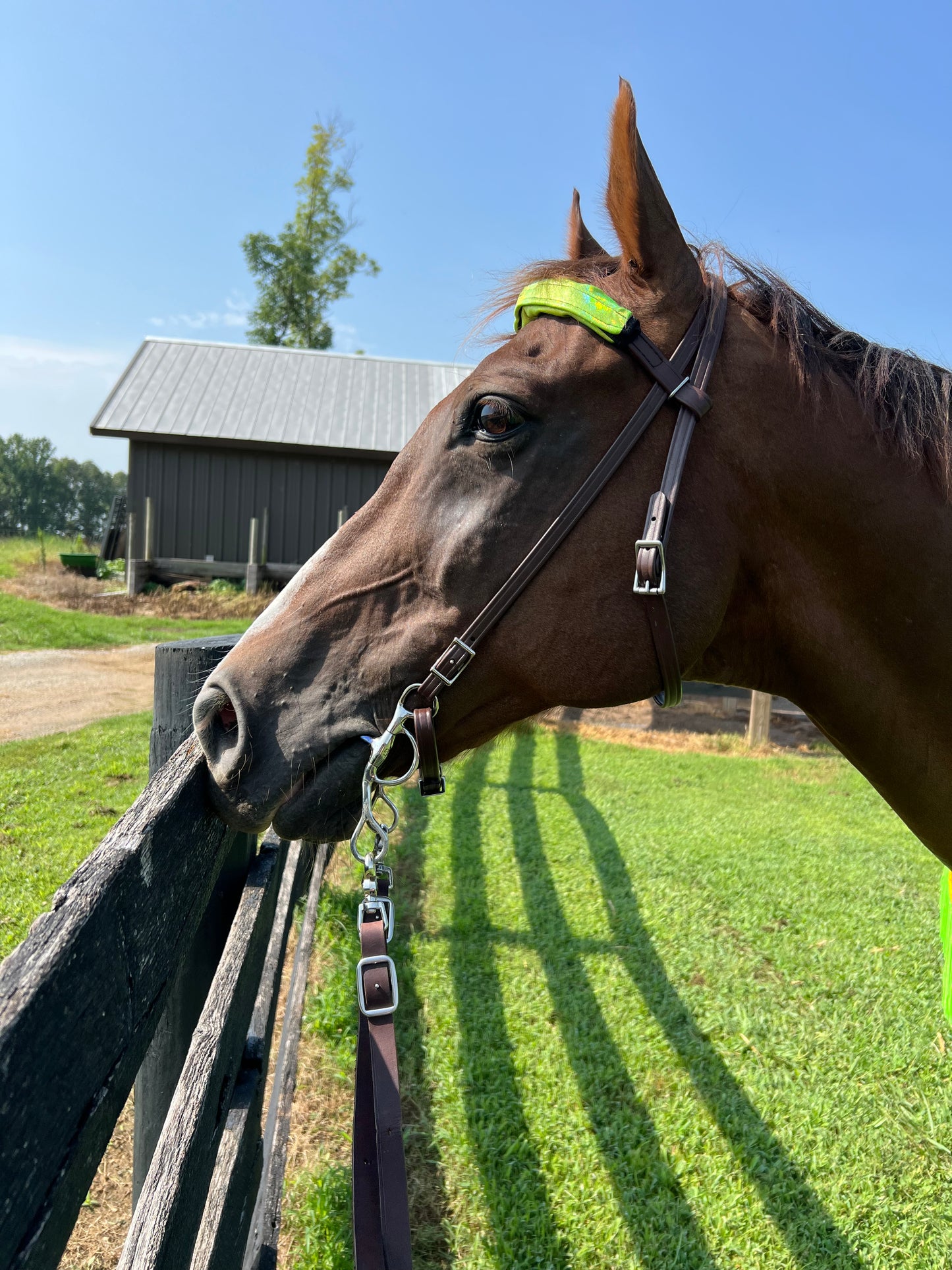 Neon Lime Green Holographic Browband or Noseband Cover (ONE Cover Only)