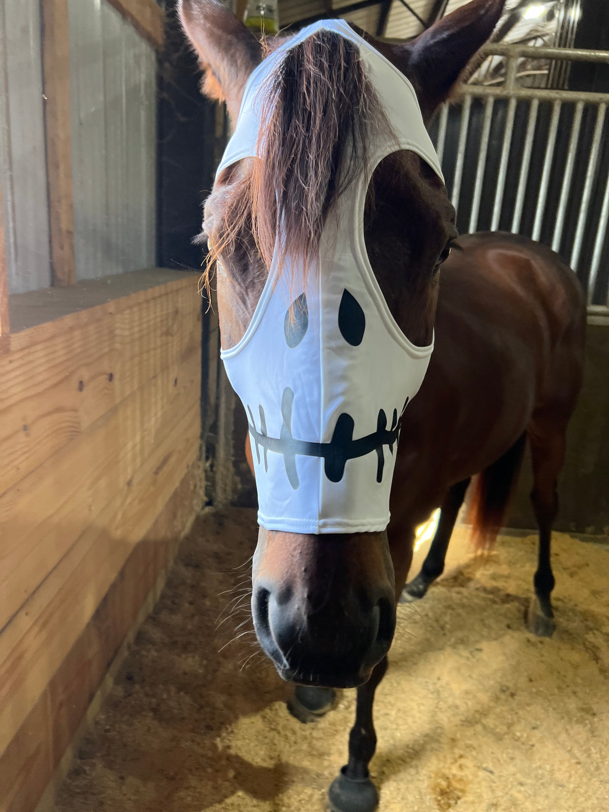 Skeleton Costume Mask for Horses
