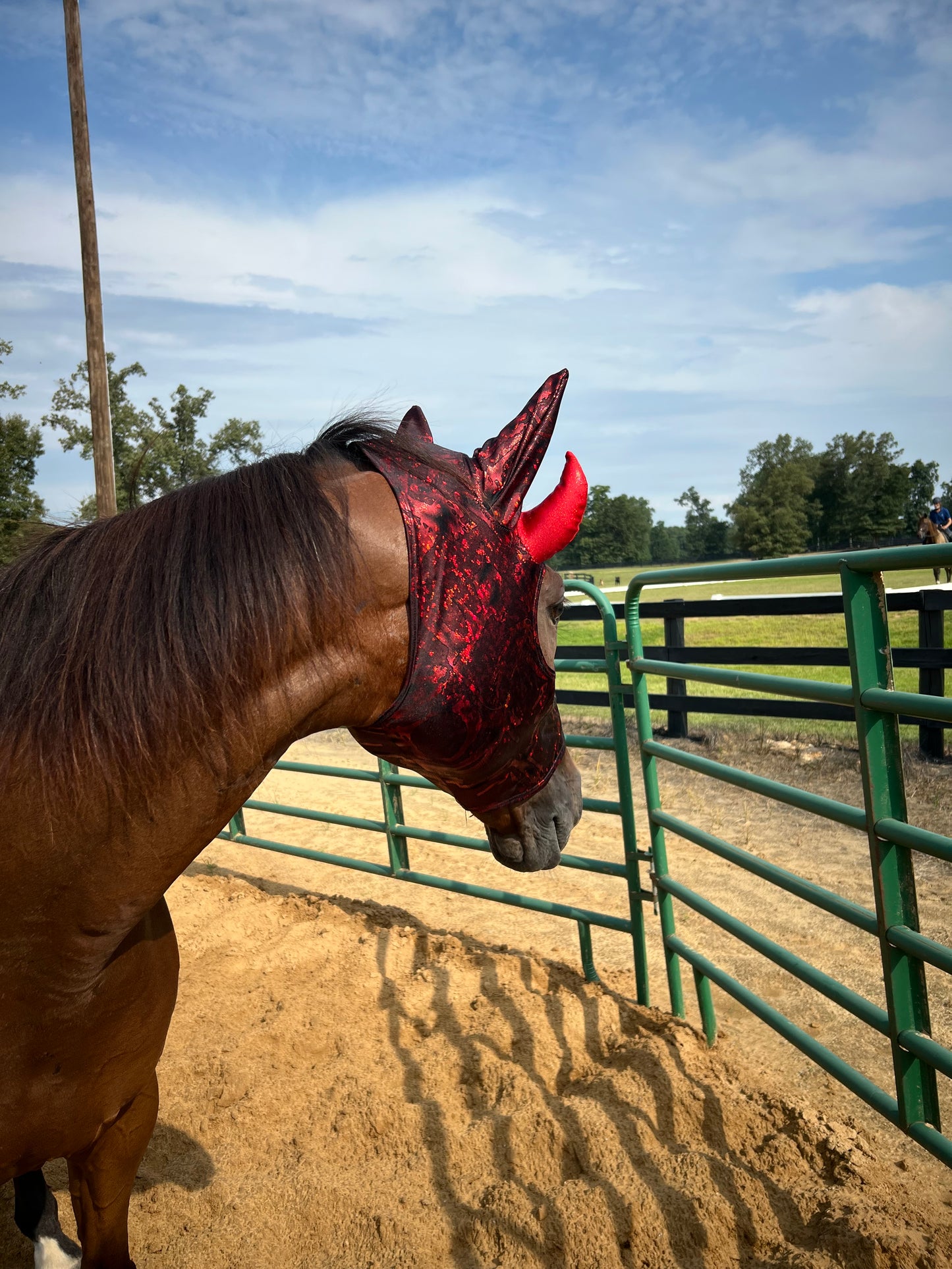 Red Devil Costume Mask for Horses