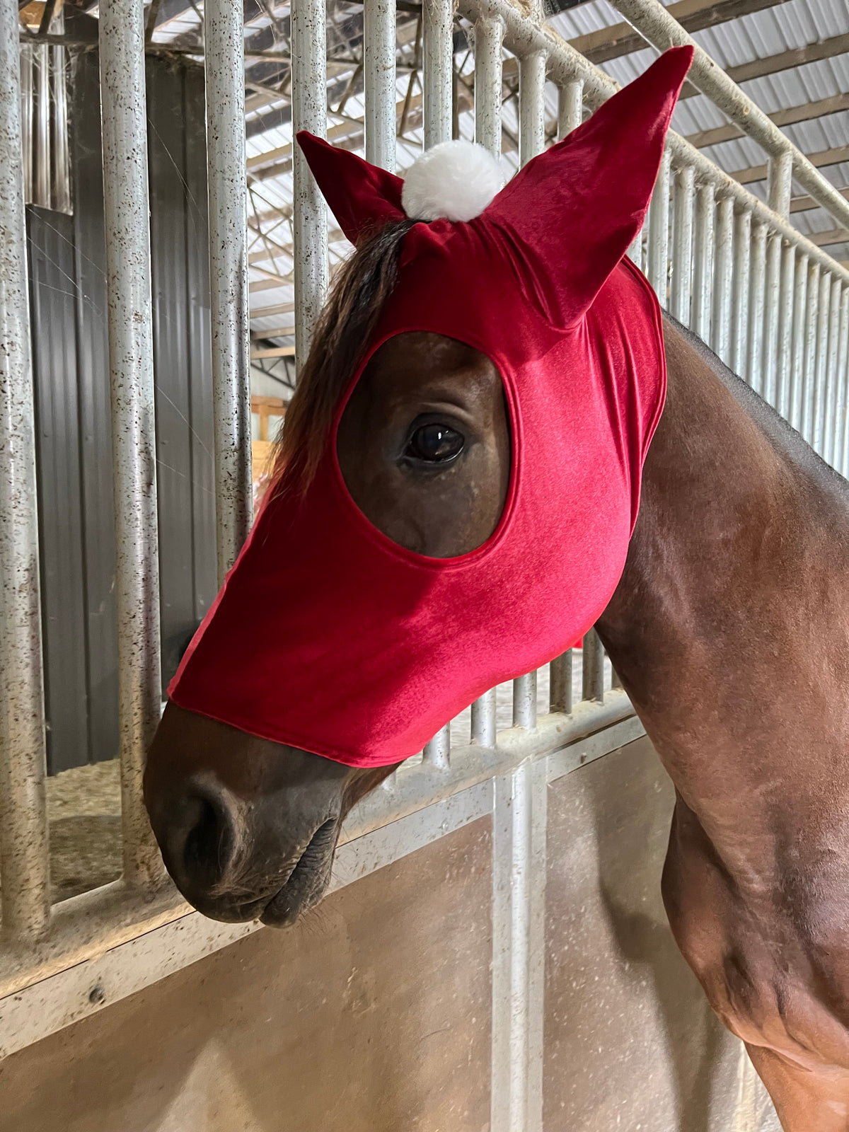 Santa Hat Costume Mask for Horses