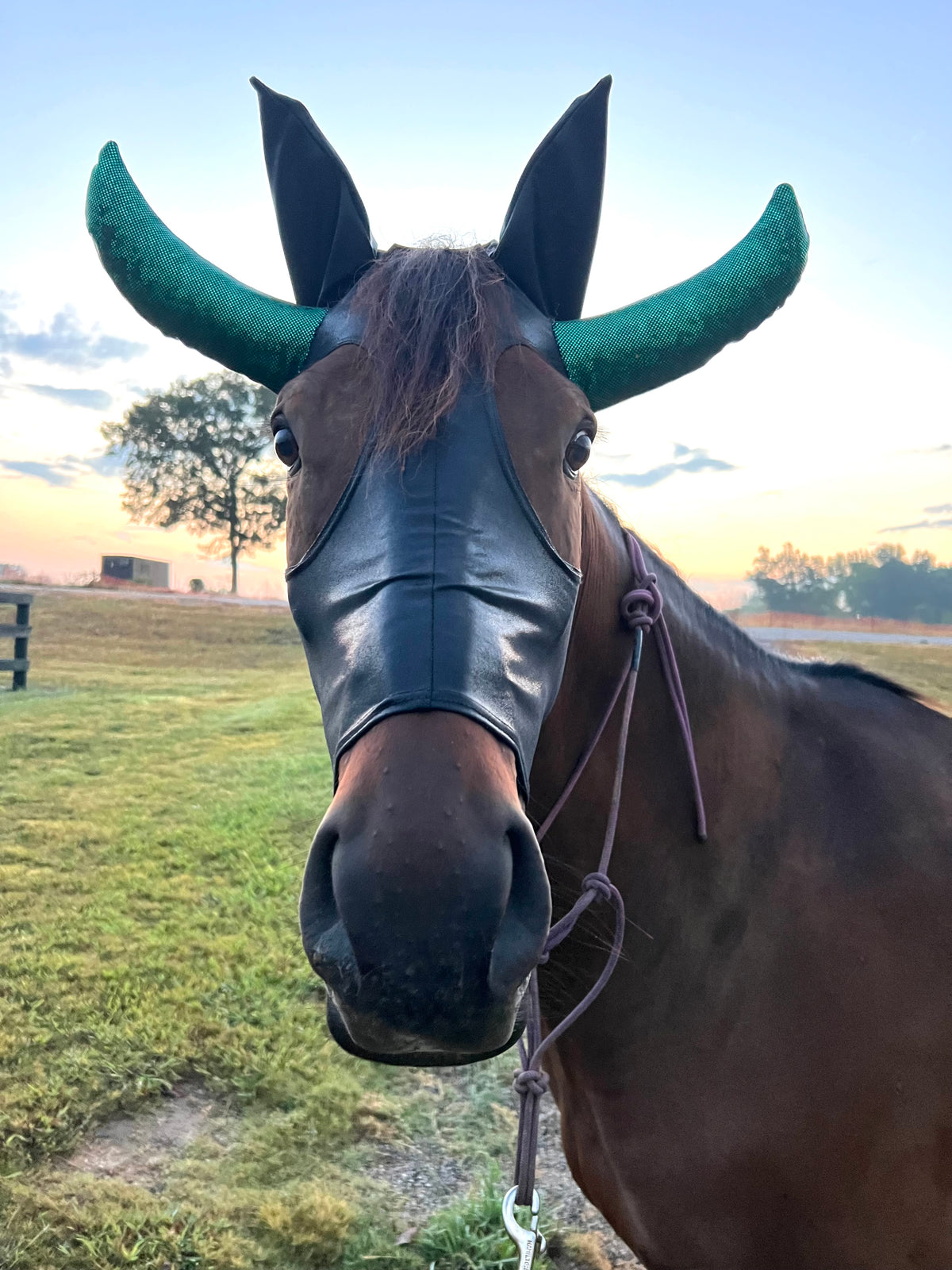Roping Dummy Costume Mask for Horses