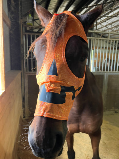 Jack O Lantern Pumpkin Costume Mask for Horses