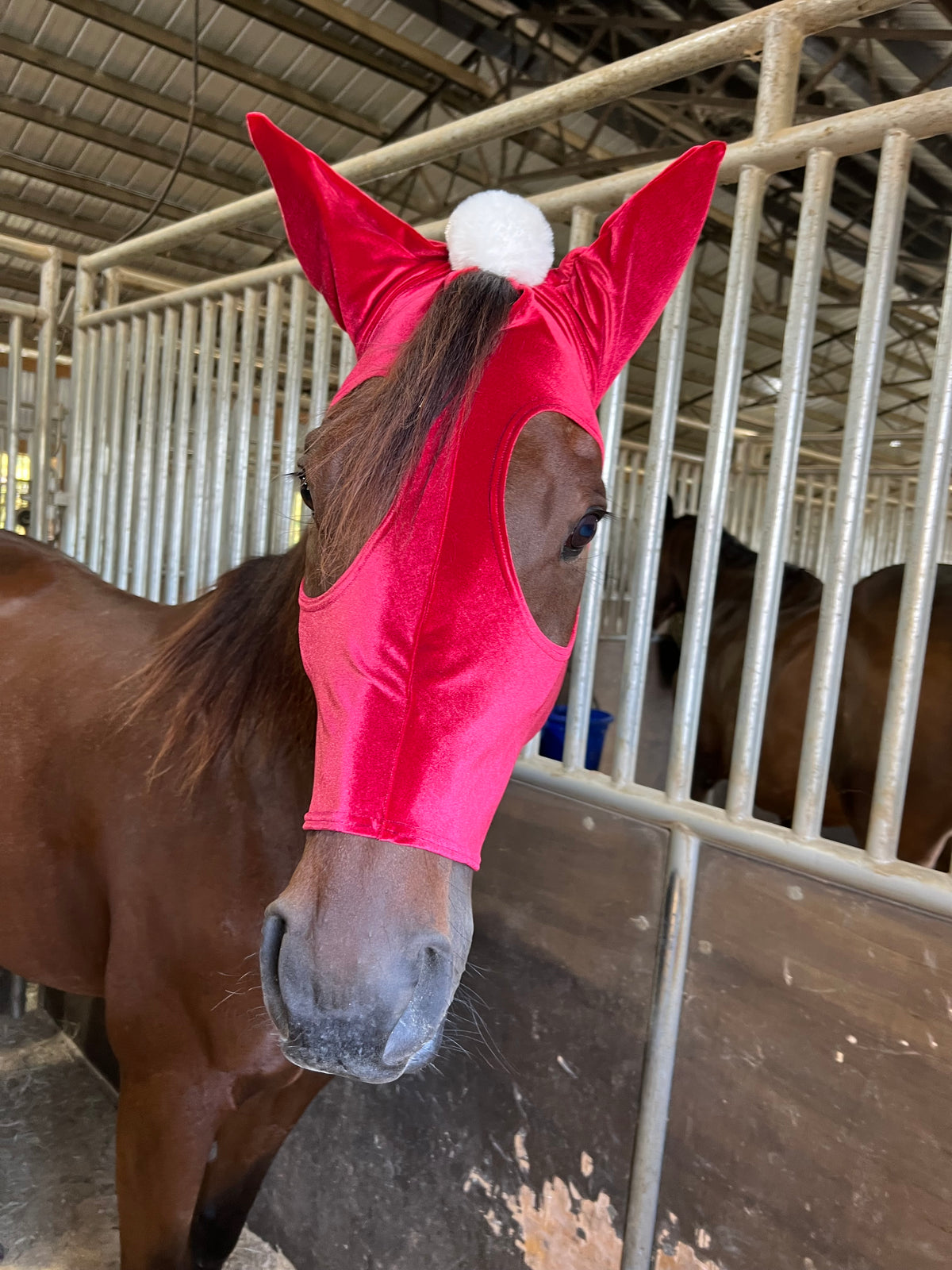 Santa Hat Costume Mask for Horses
