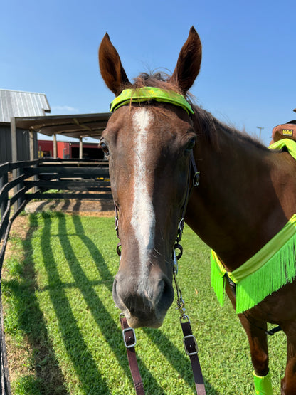 Neon Lime Green Holographic Browband or Noseband Cover (ONE Cover Only)