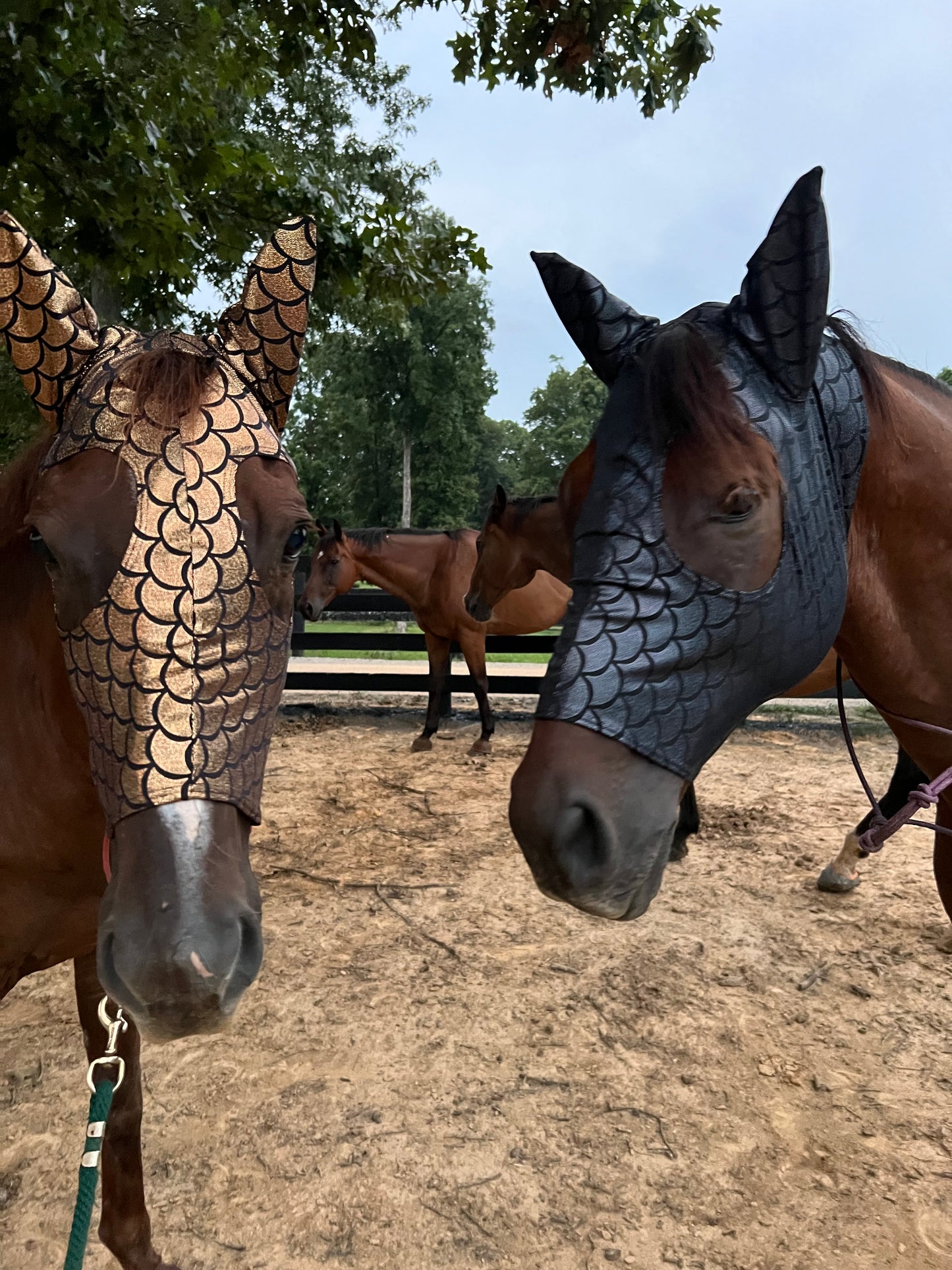 Black Dragon Scale Spandex Face Mask for Horses