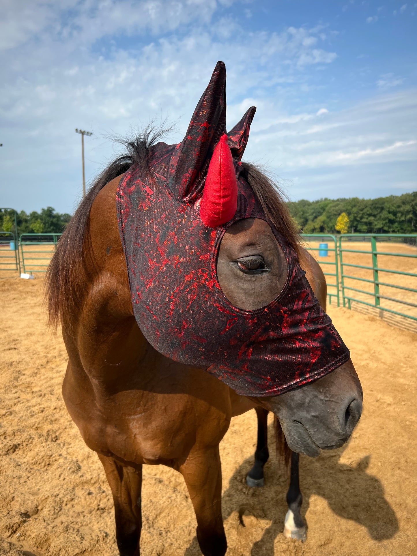 Red Devil Costume Mask for Horses