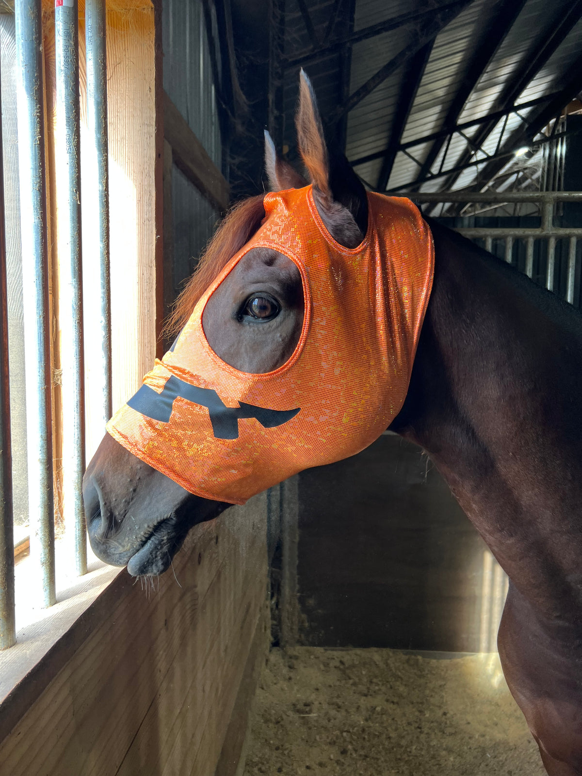 Jack O Lantern Pumpkin Costume Mask for Horses