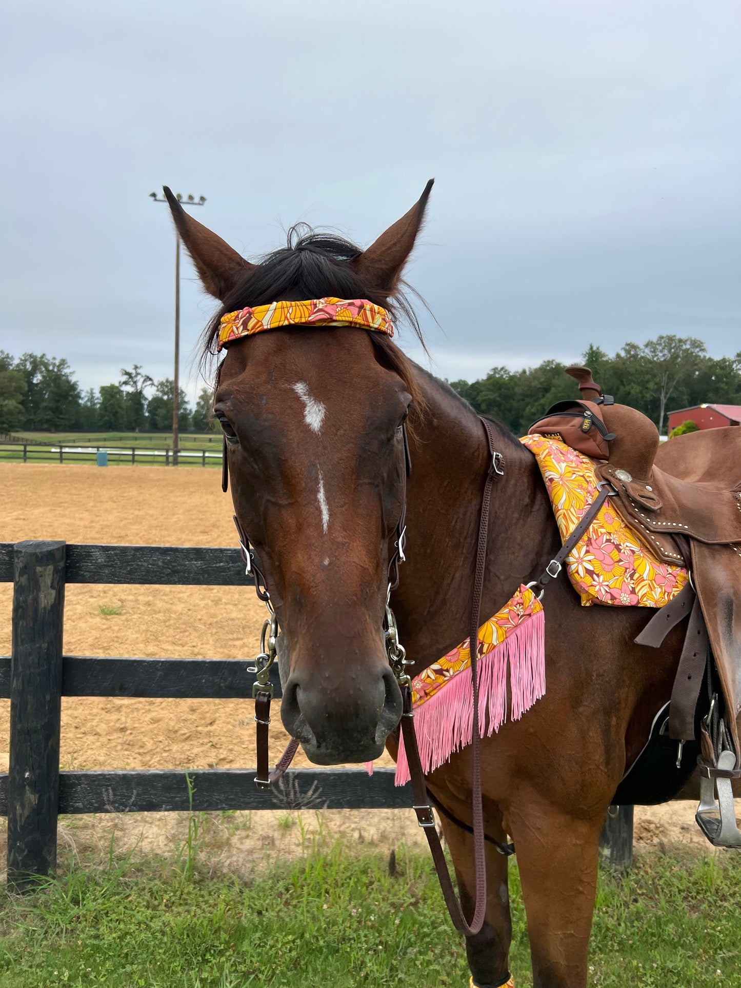 What The Floral Print Browband or Noseband Cover (ONE Cover Only)