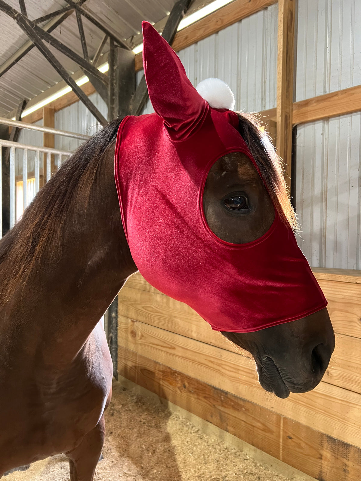 Santa Hat Costume Mask for Horses