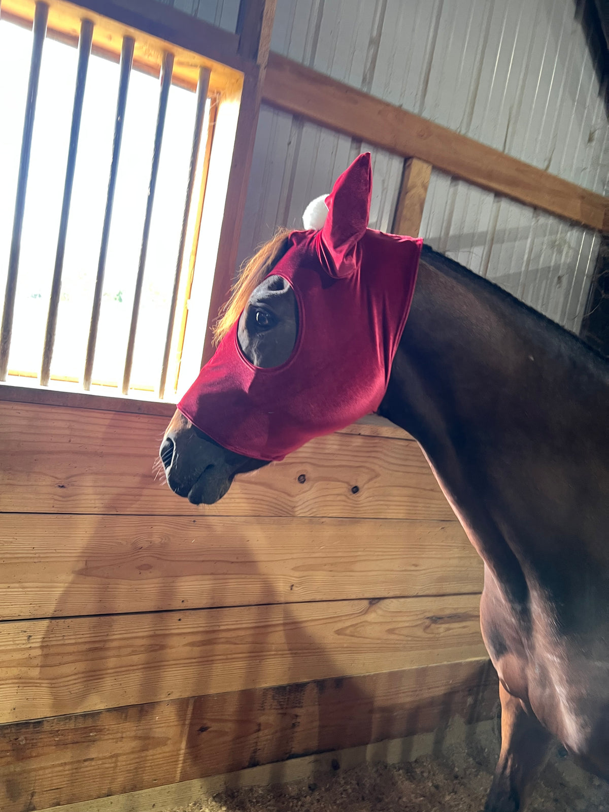 Santa Hat Costume Mask for Horses
