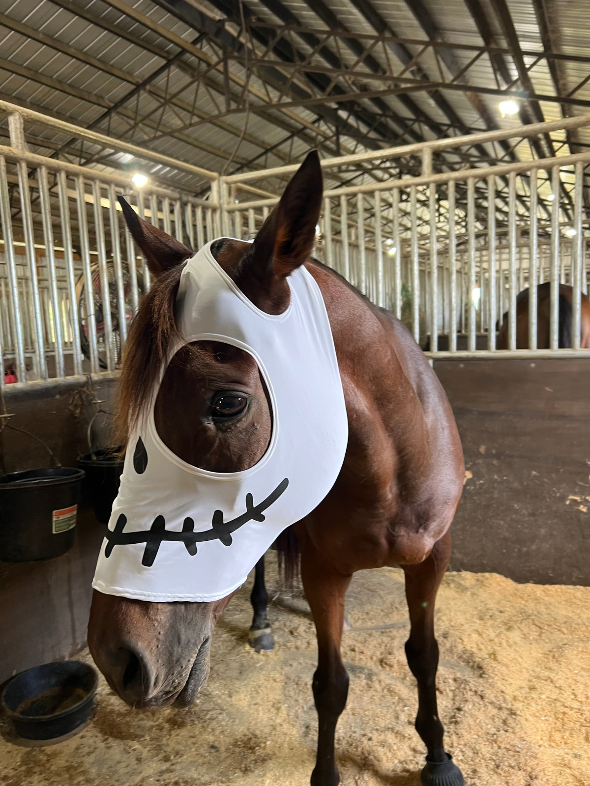 Skeleton Costume Mask for Horses