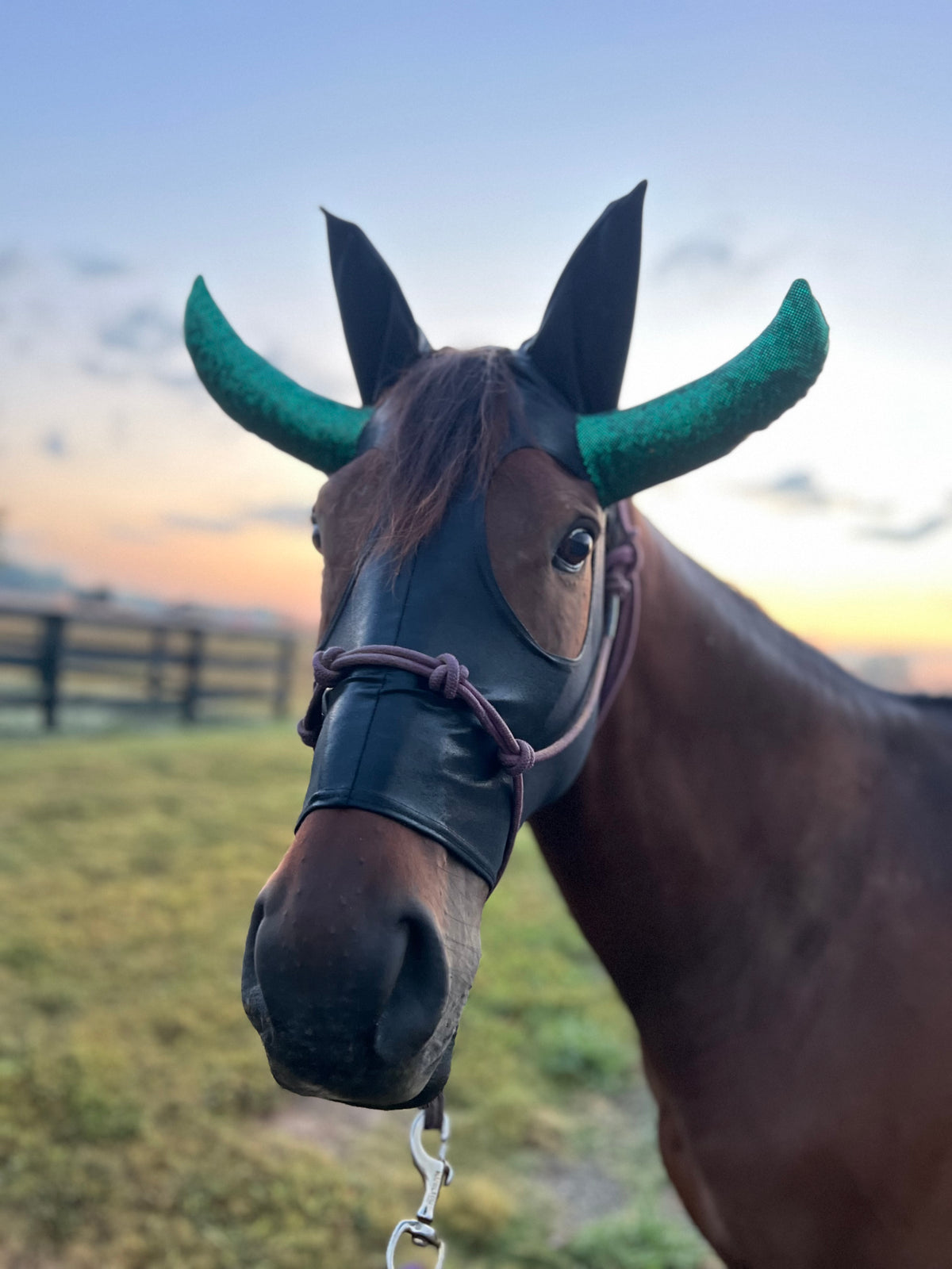 Roping Dummy Costume Mask for Horses