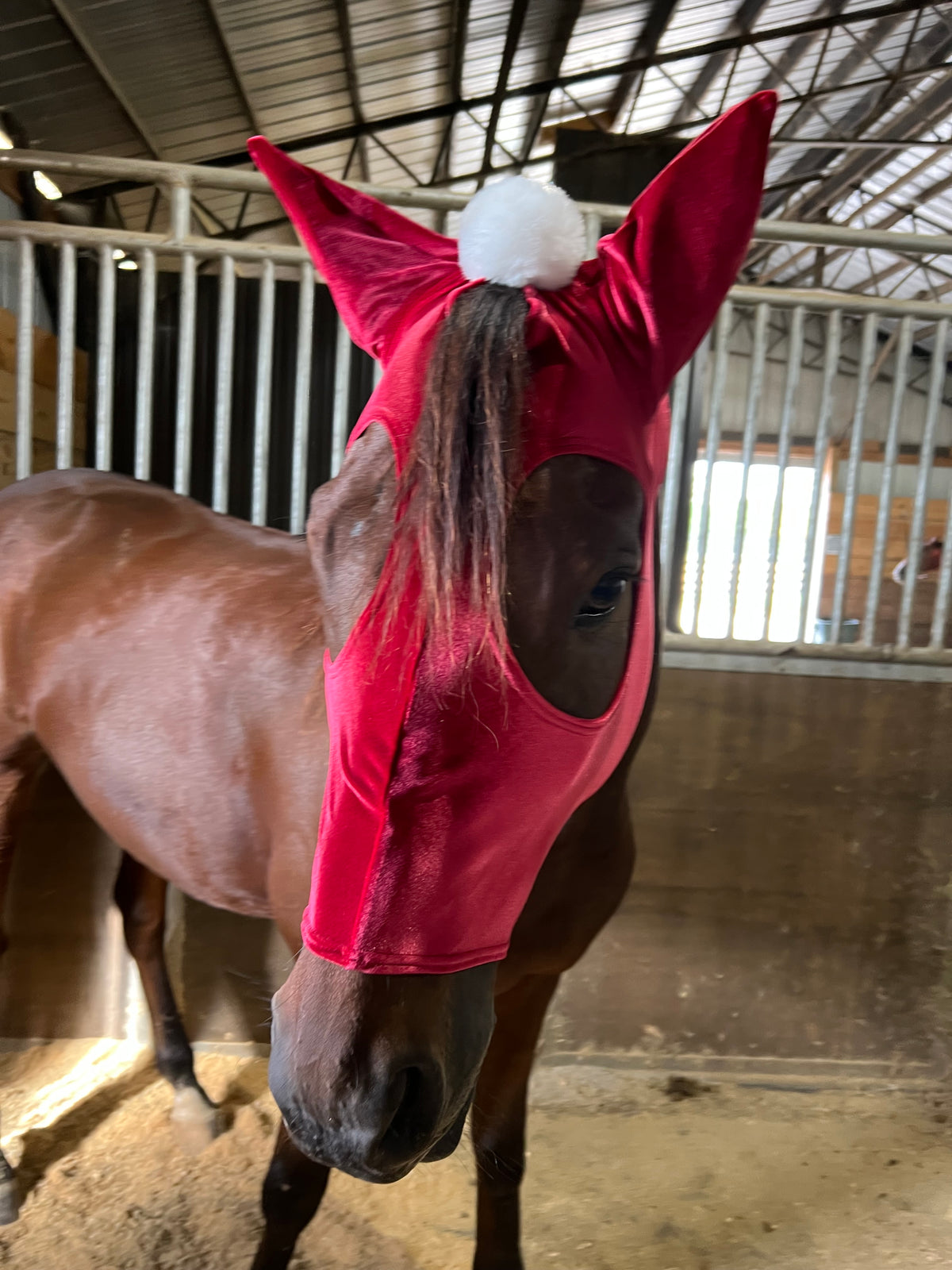 Santa Hat Costume Mask for Horses