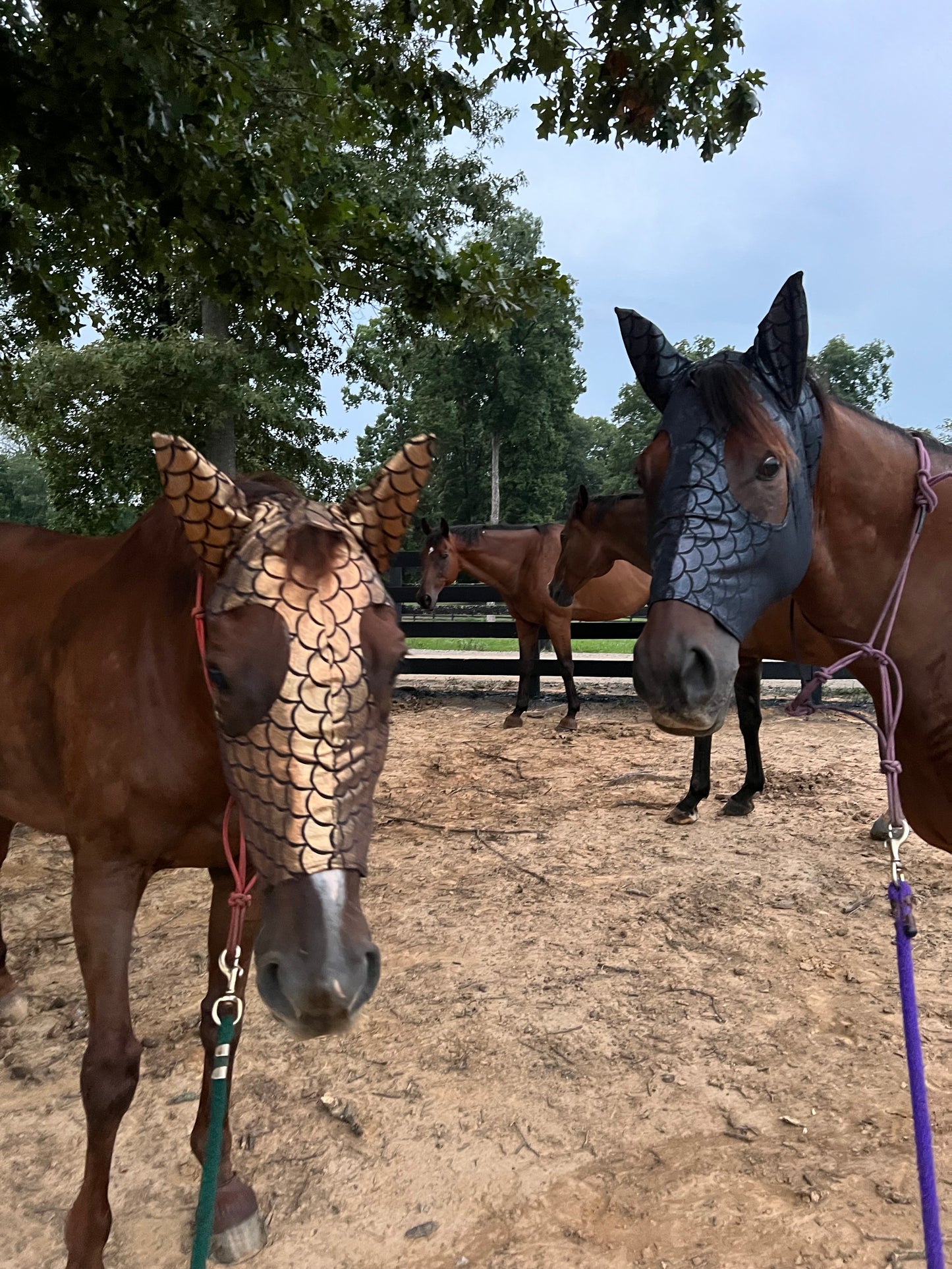 Gold Dragon Scale Spandex Face Mask for Horses