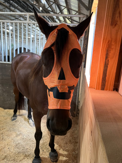Jack O Lantern Pumpkin Costume Mask for Horses