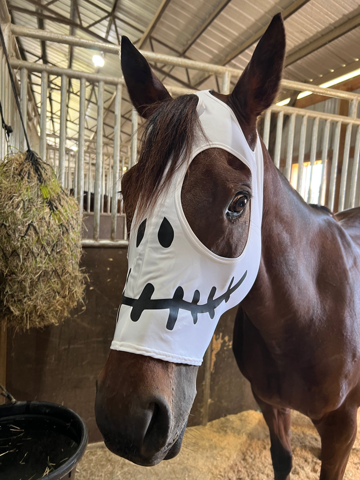 Skeleton Costume Mask for Horses