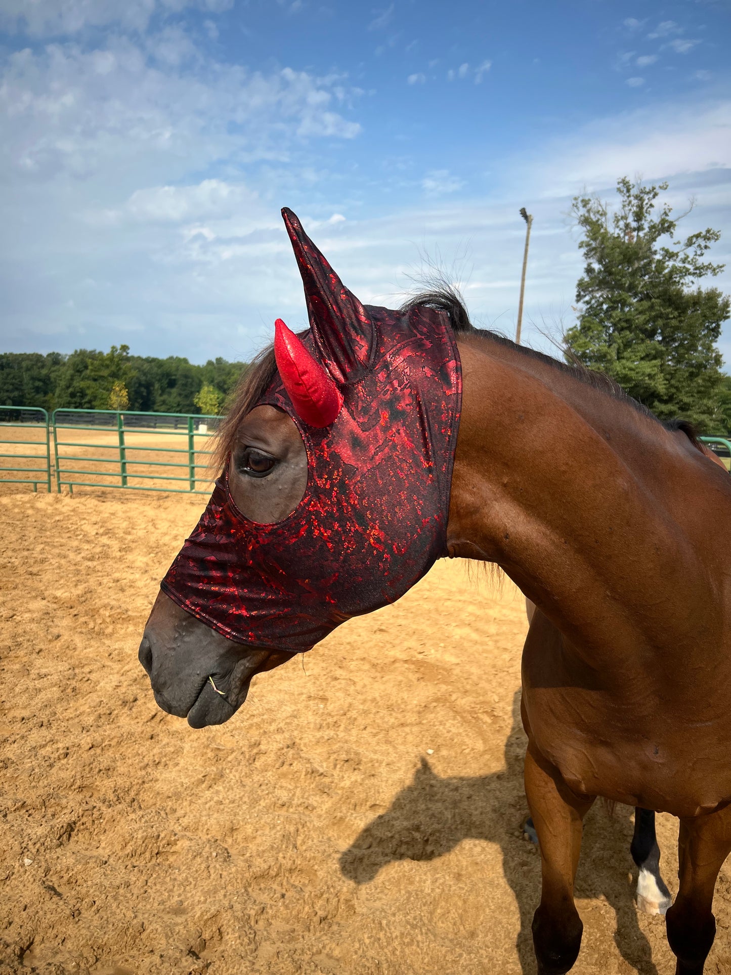 Red Devil Costume Mask for Horses