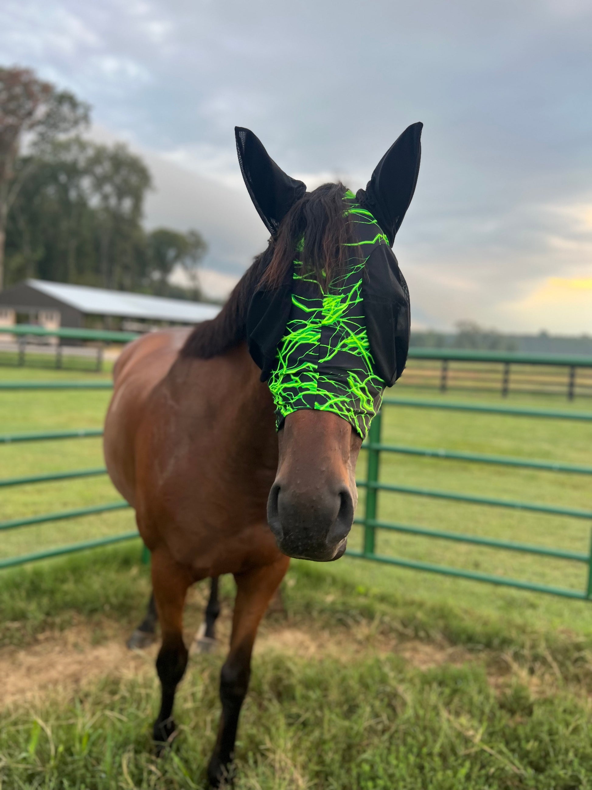 Green Lightning Fly Mask Fly Bonnet Riverside Rodeo Shirts 