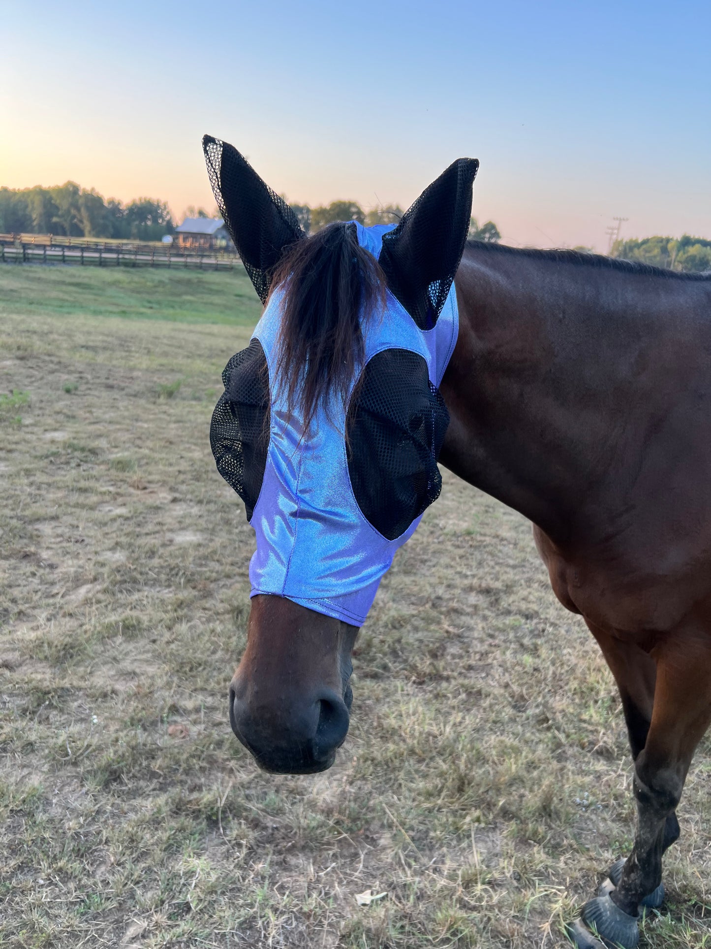 Lavender Ice Fly Mask