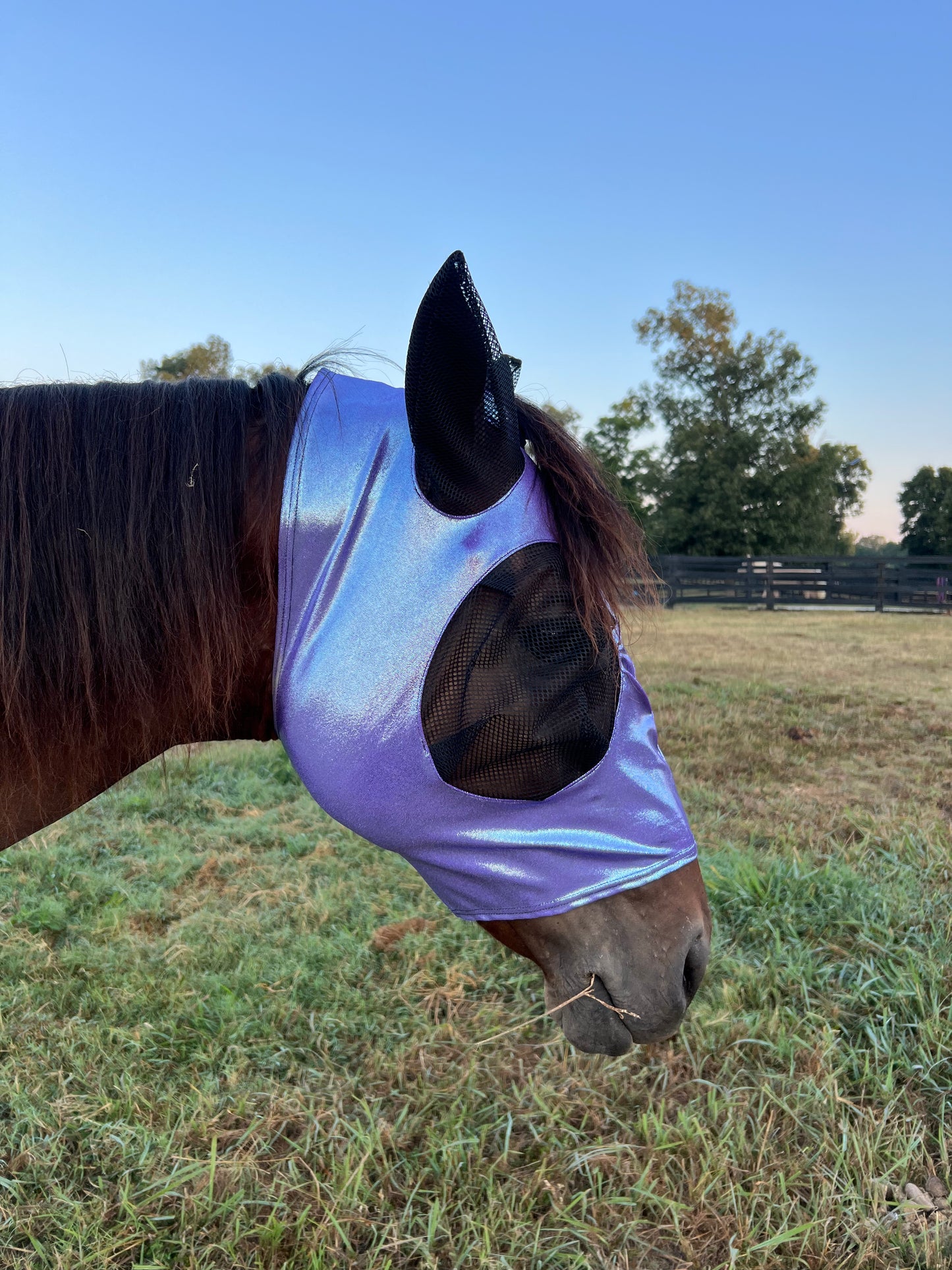 Lavender Ice Fly Mask