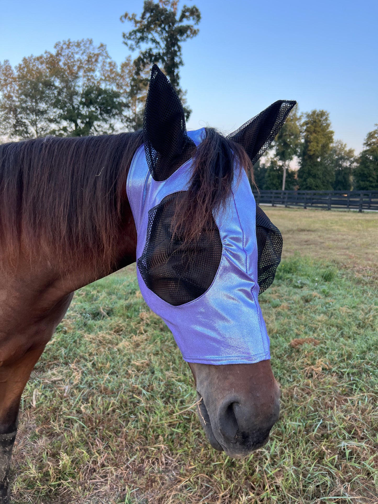 Lavender Ice Fly Mask