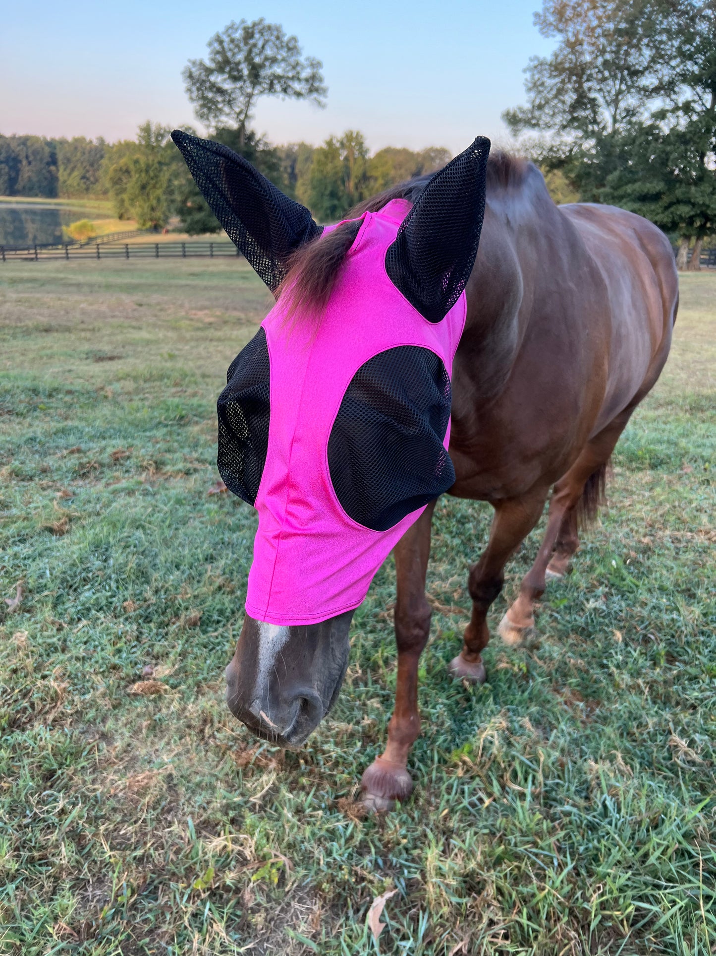 Neon Pink Sparkly Jewel Fly Mask