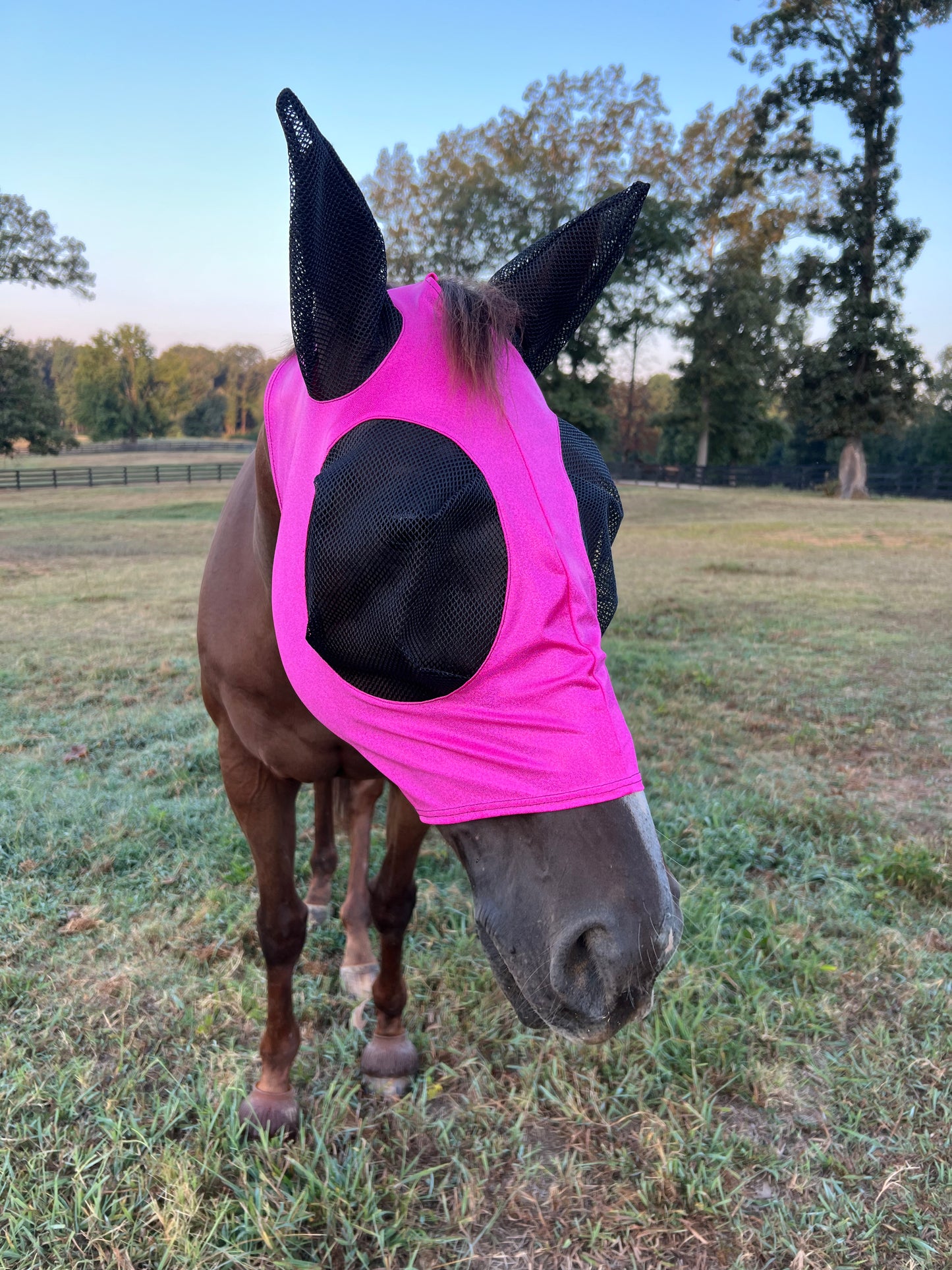Neon Pink Sparkly Jewel Fly Mask