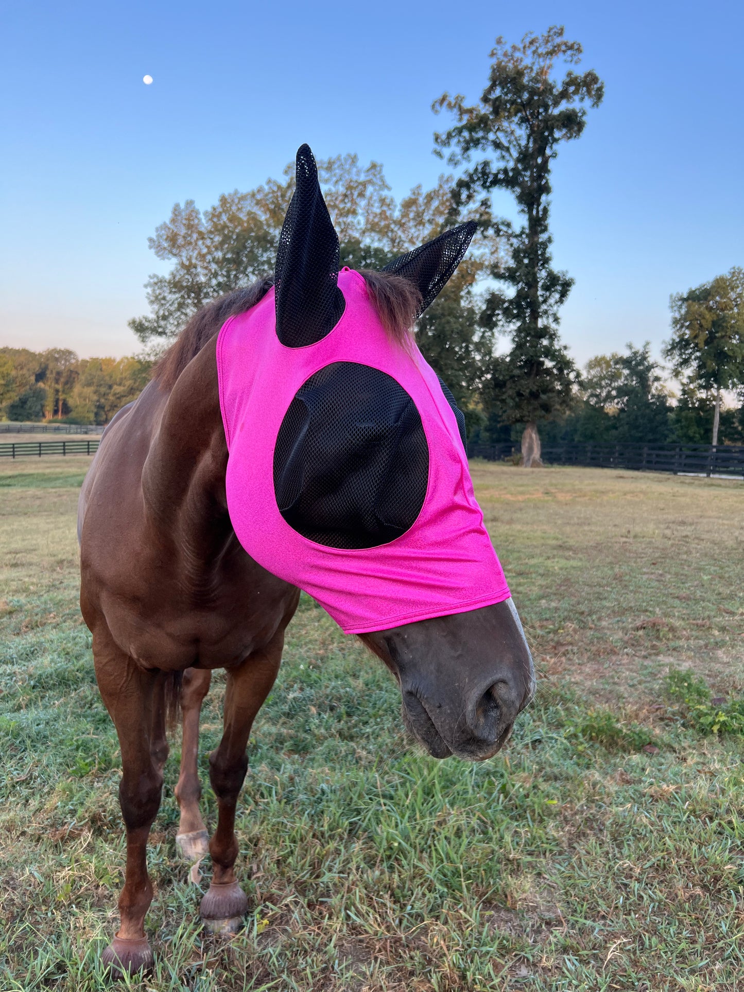 Neon Pink Sparkly Jewel Fly Mask