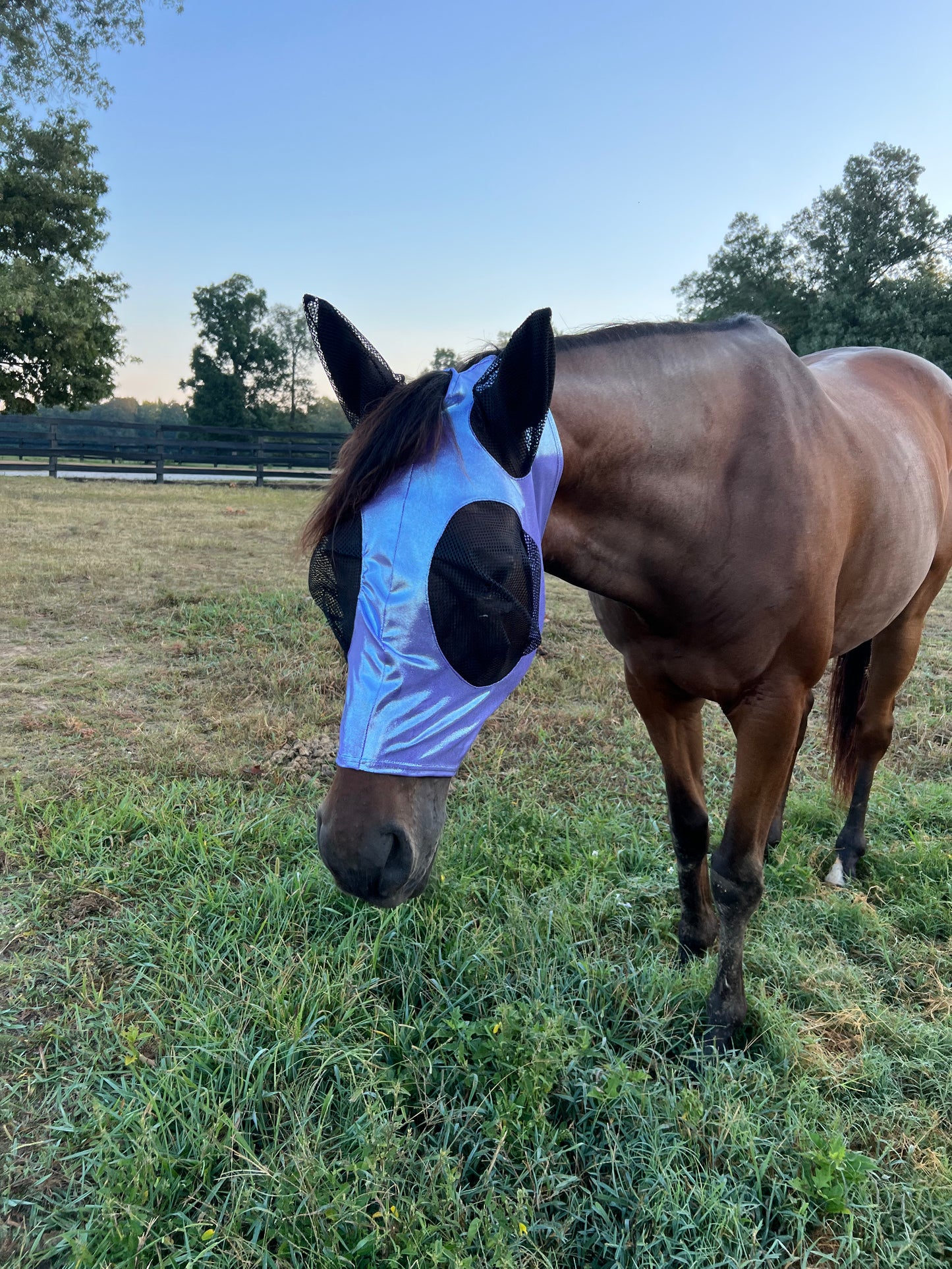 Lavender Ice Fly Mask