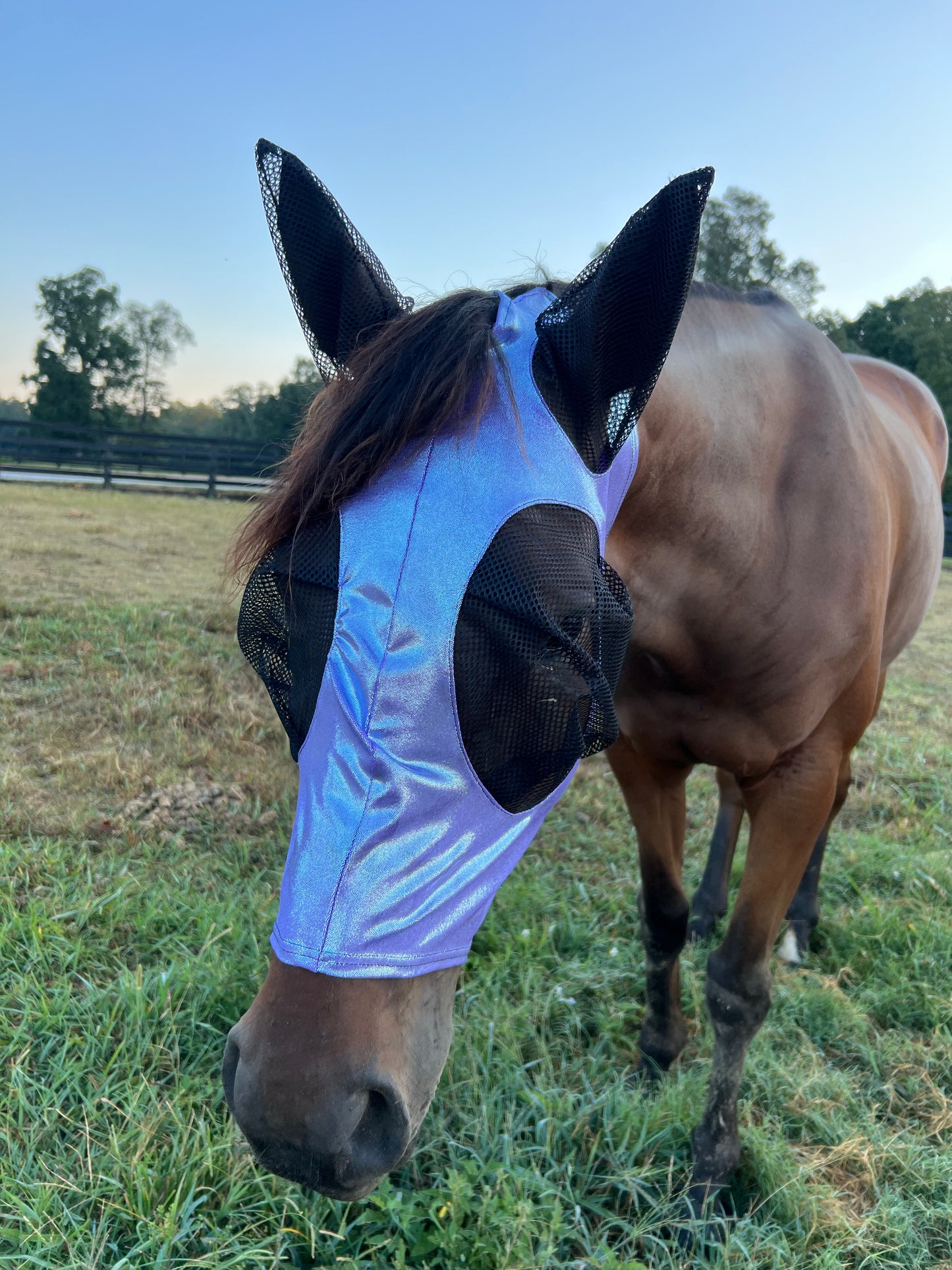Lavender Ice Fly Mask