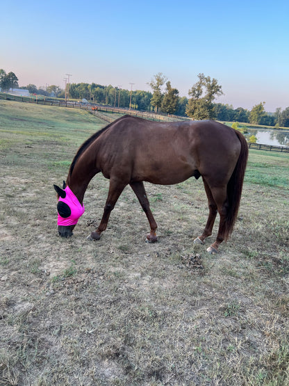 Neon Pink Sparkly Jewel Fly Mask