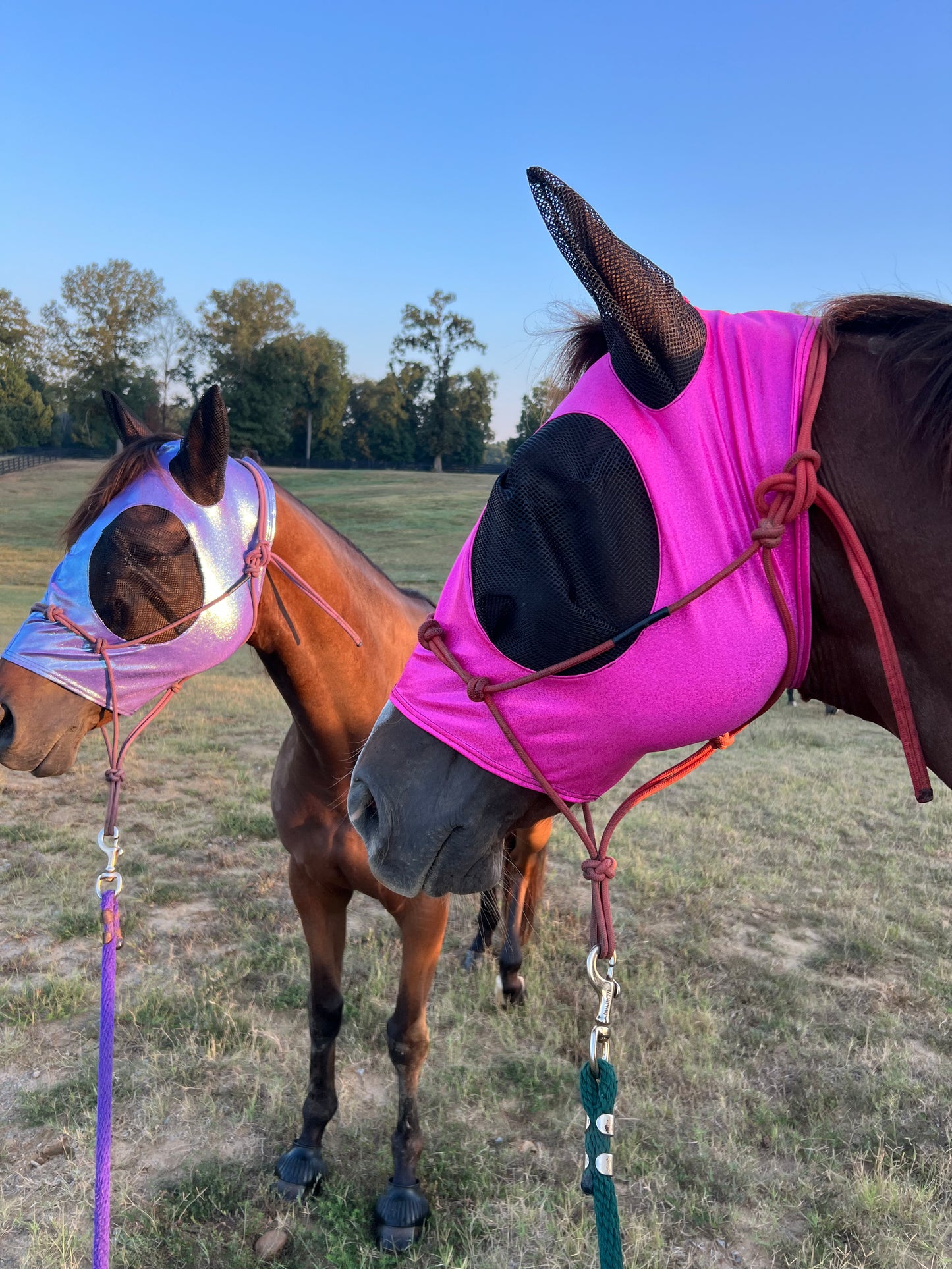 Neon Pink Sparkly Jewel Fly Mask