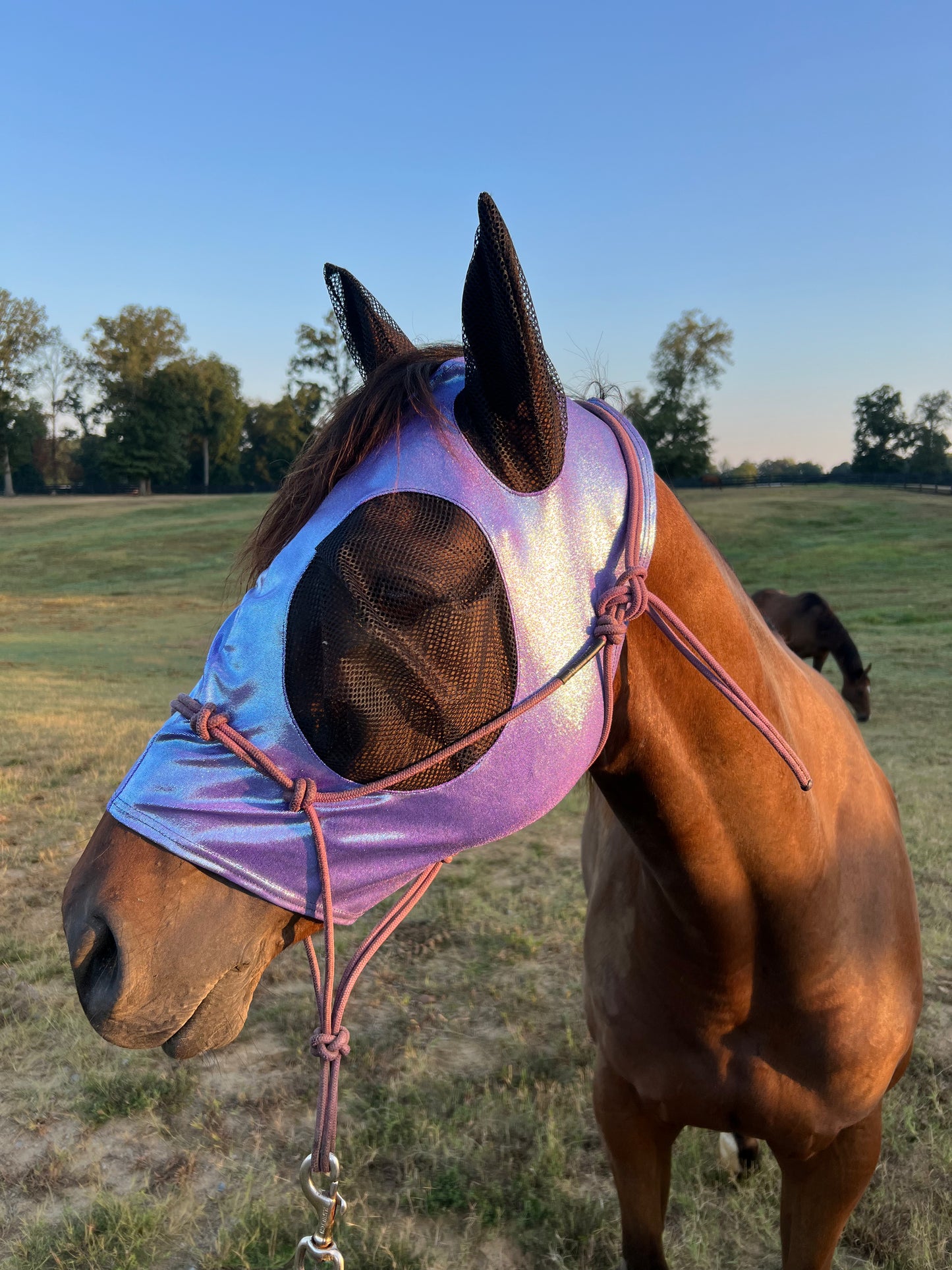 Lavender Ice Fly Mask
