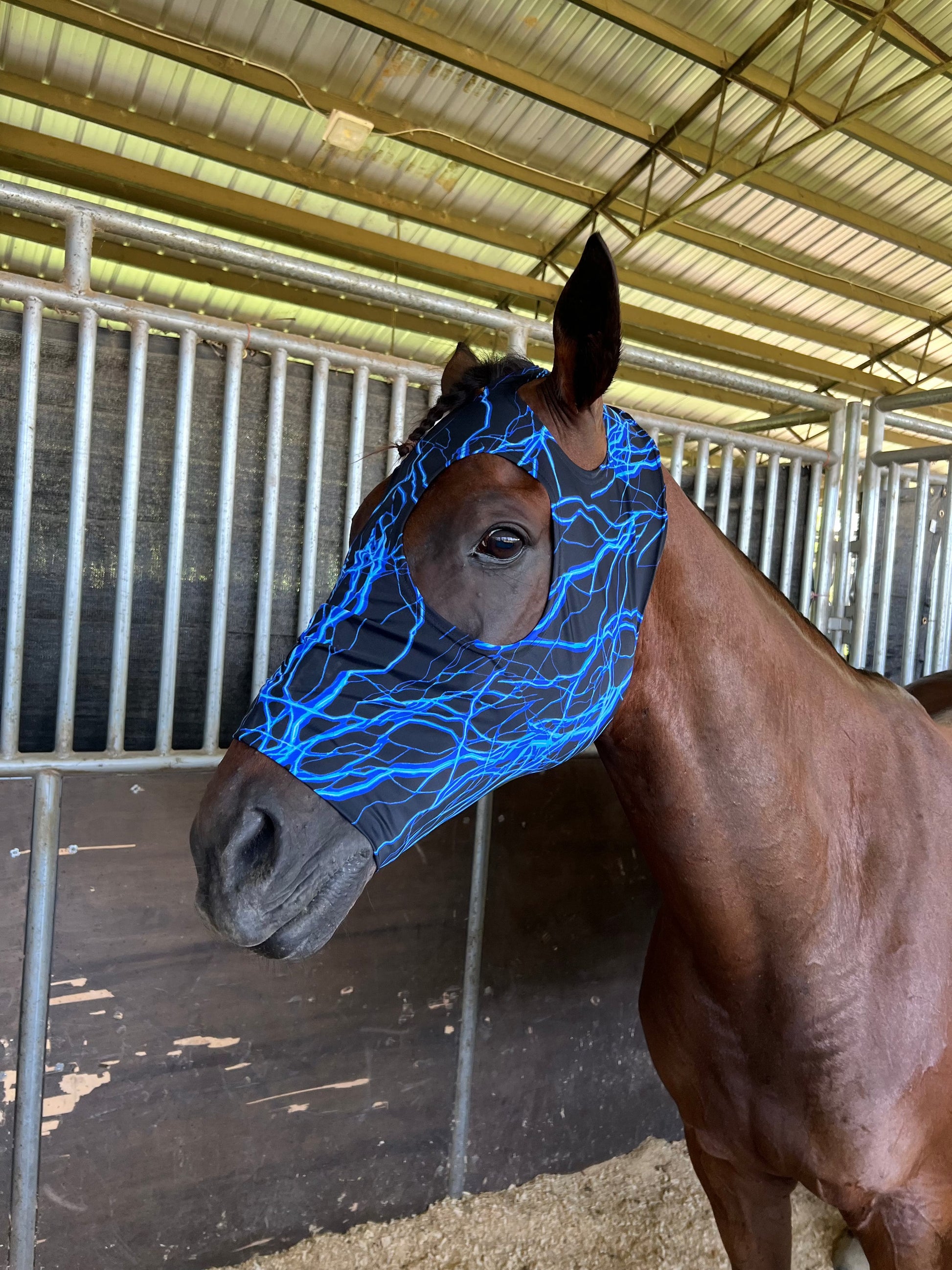 Blue Lightning Spandex Face Mask for Horses Fly Bonnet Riverside Rodeo Shirts 