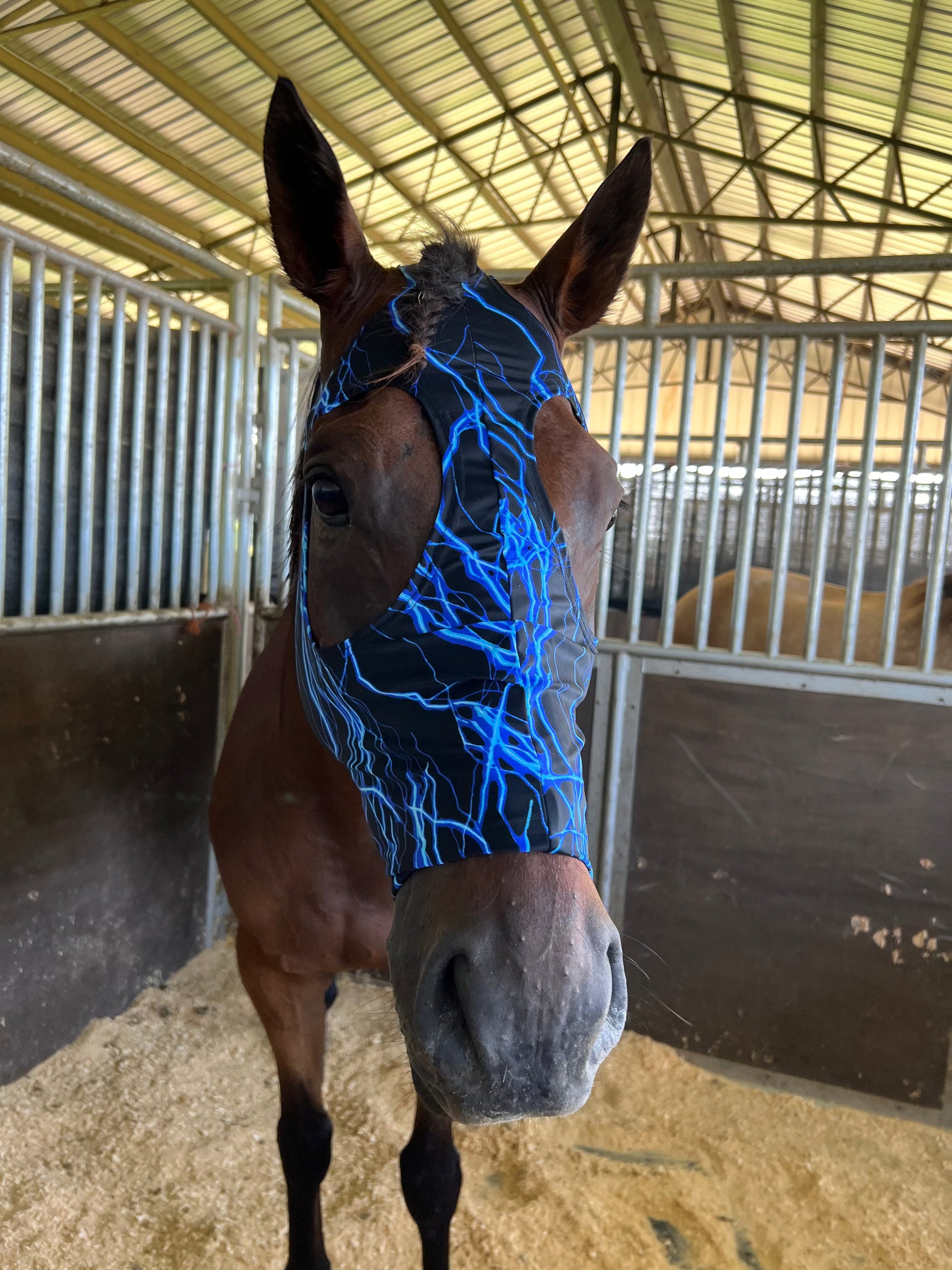 Blue Lightning Spandex Face Mask for Horses Fly Bonnet Riverside Rodeo Shirts 