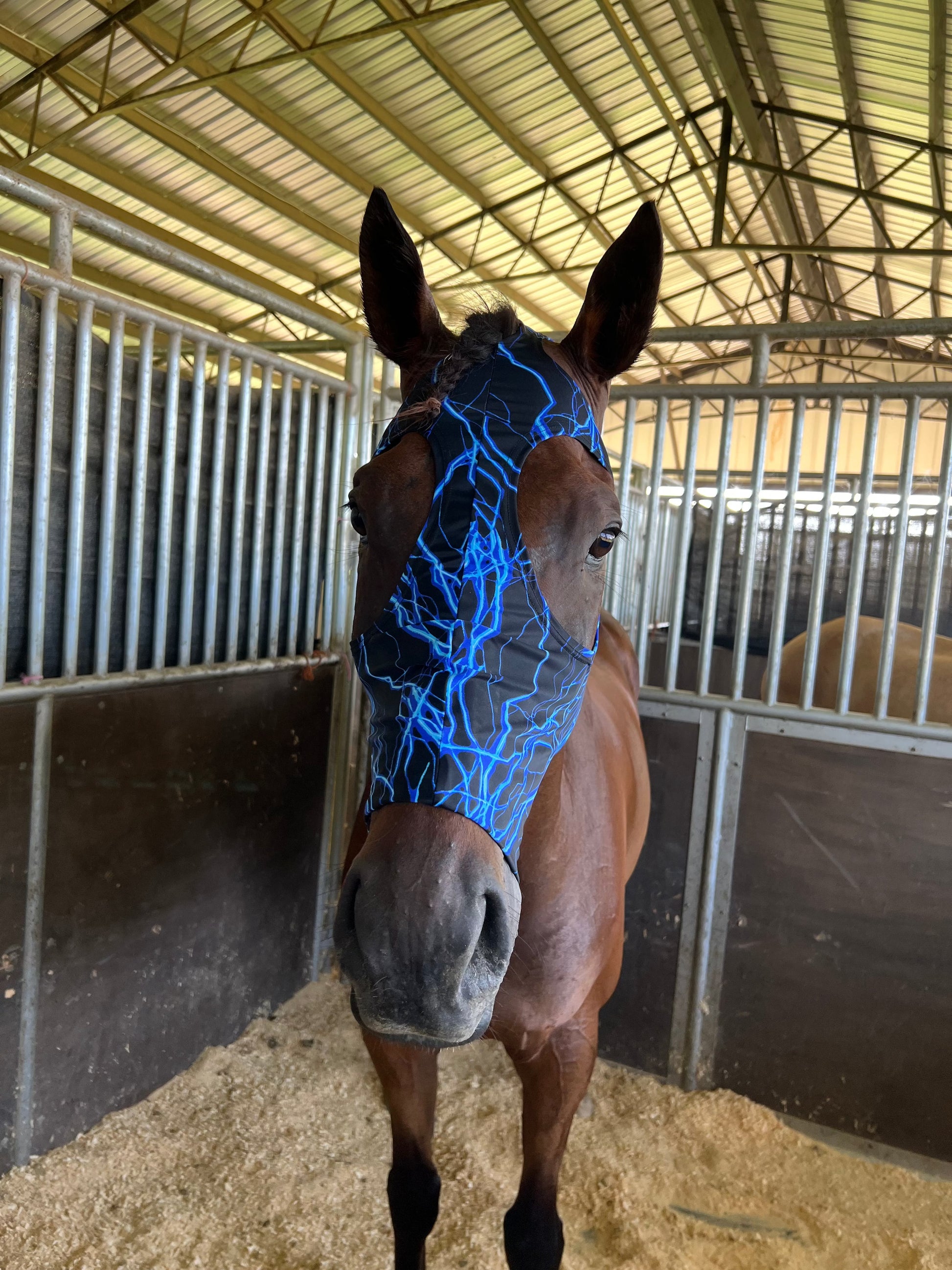 Blue Lightning Spandex Face Mask for Horses Fly Bonnet Riverside Rodeo Shirts 