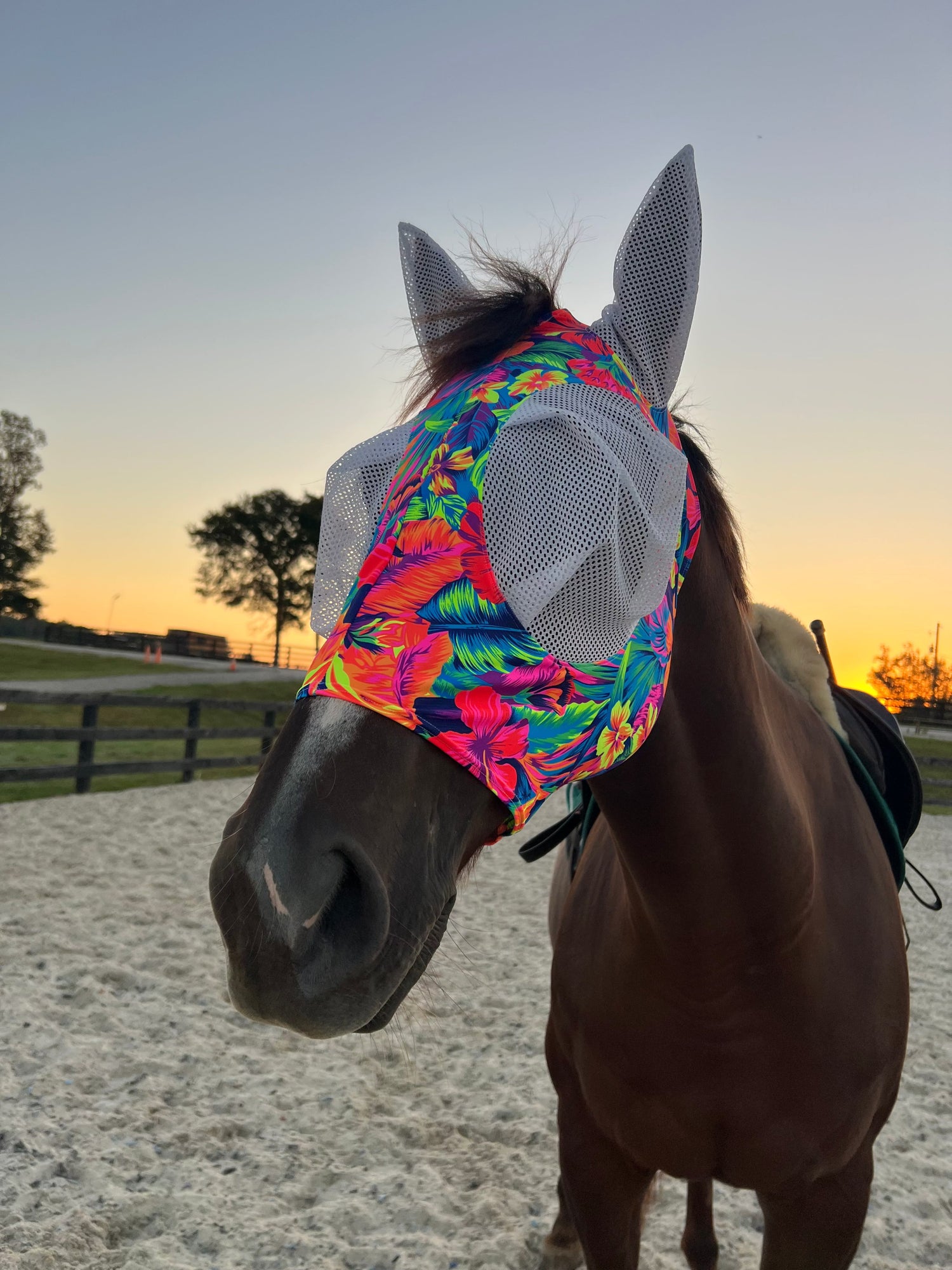 Tahitian Floral Fly Mask - Riverside Rodeo Shirts
