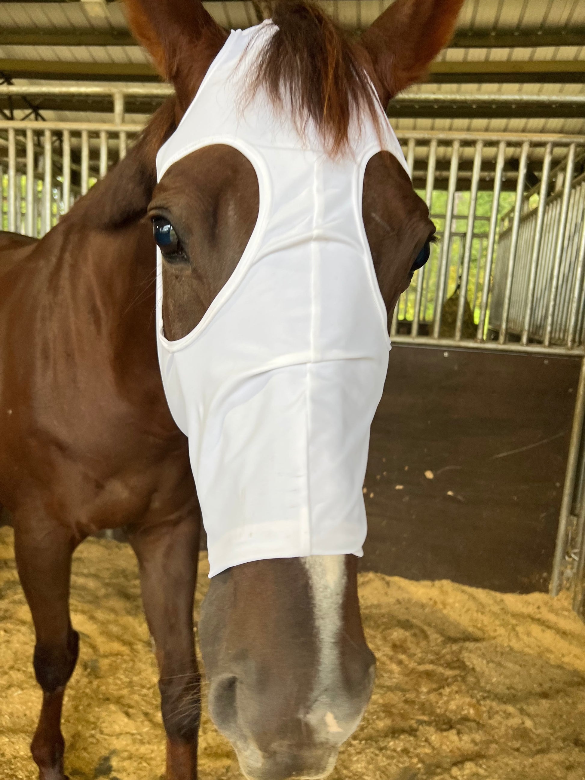 Boo! Plain White Spandex Face Mask for Horses Fly Bonnet Riverside Rodeo Shirts 